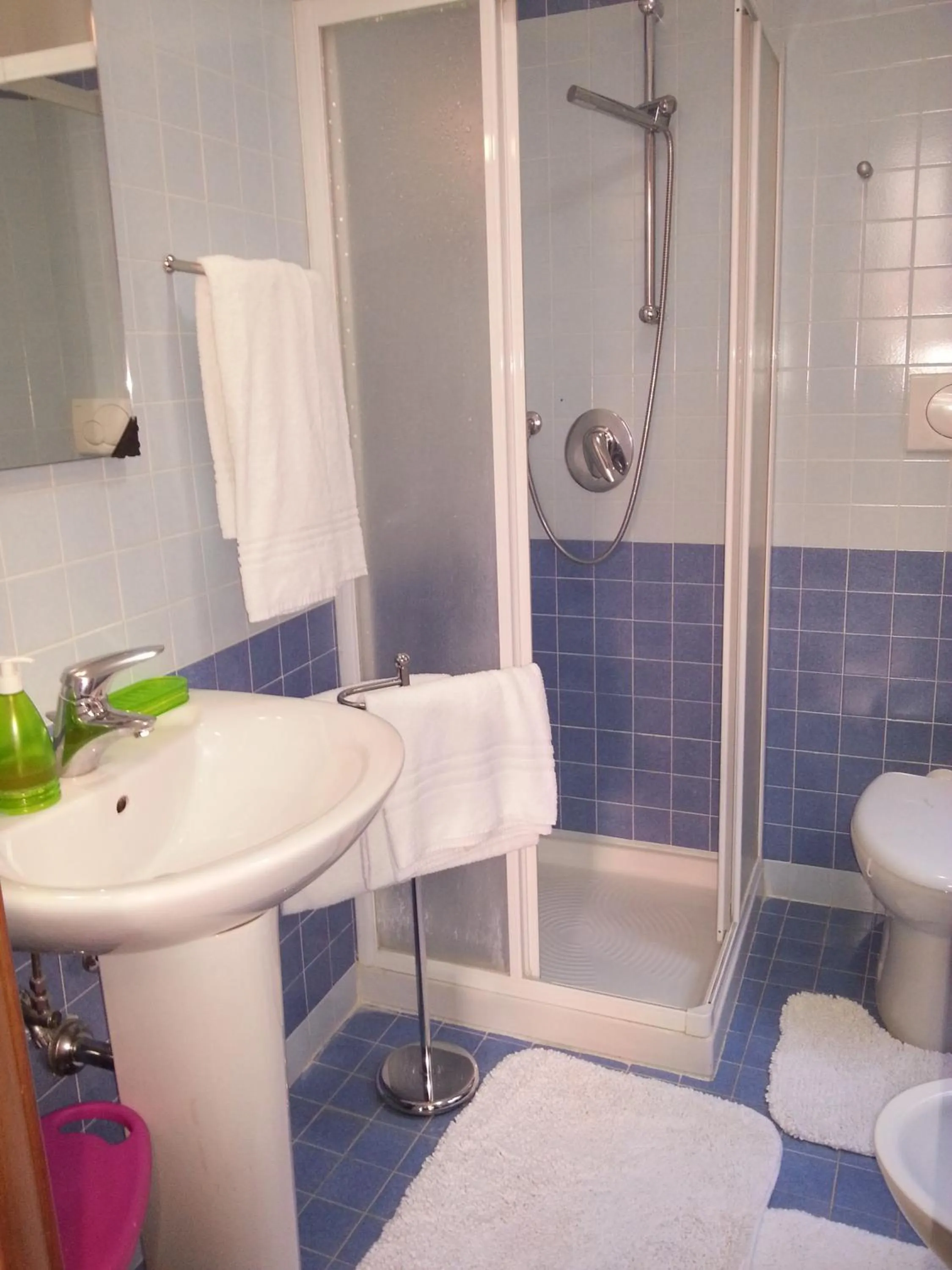 Shower in Ca Dei Fiori 1 Venezia