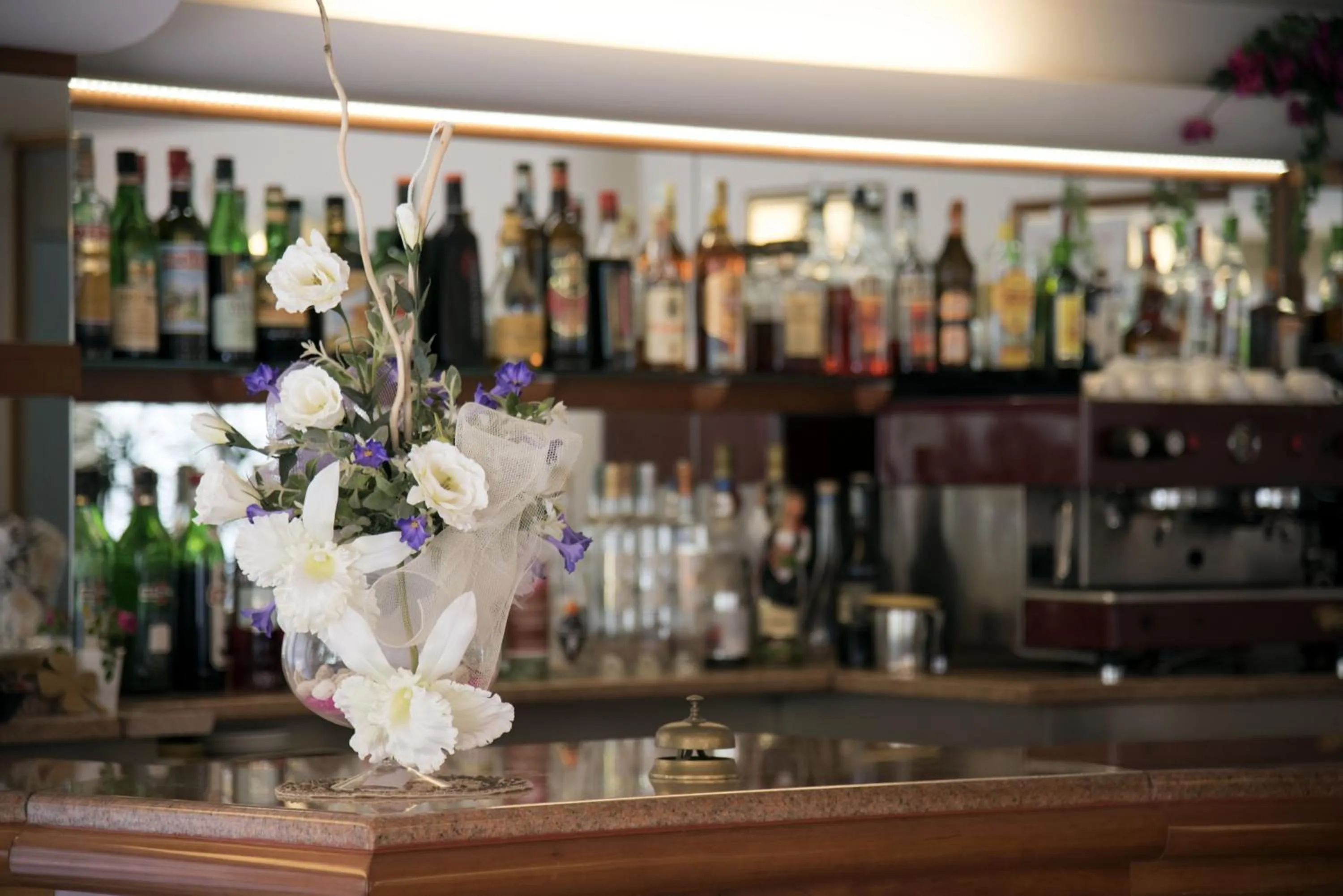 Drinks in Hotel Seven