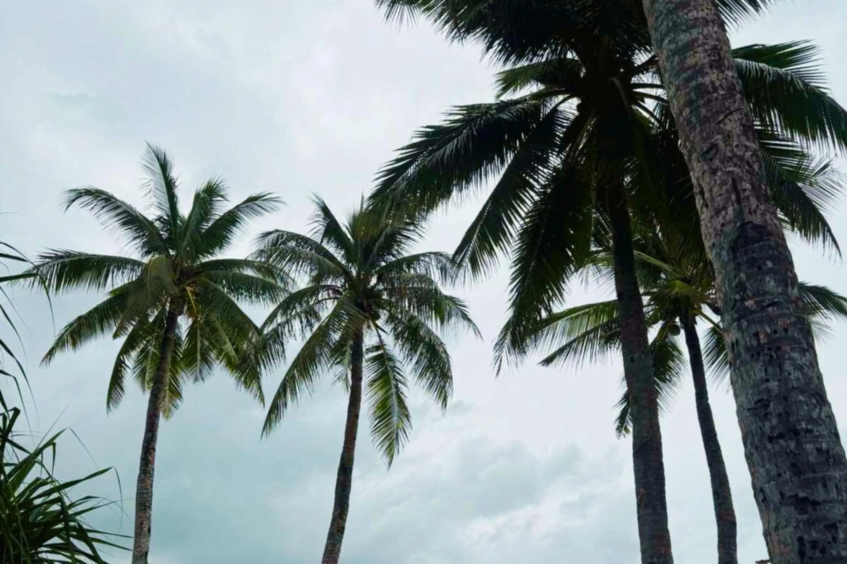 The Muse Beach Front Hotel Boracay