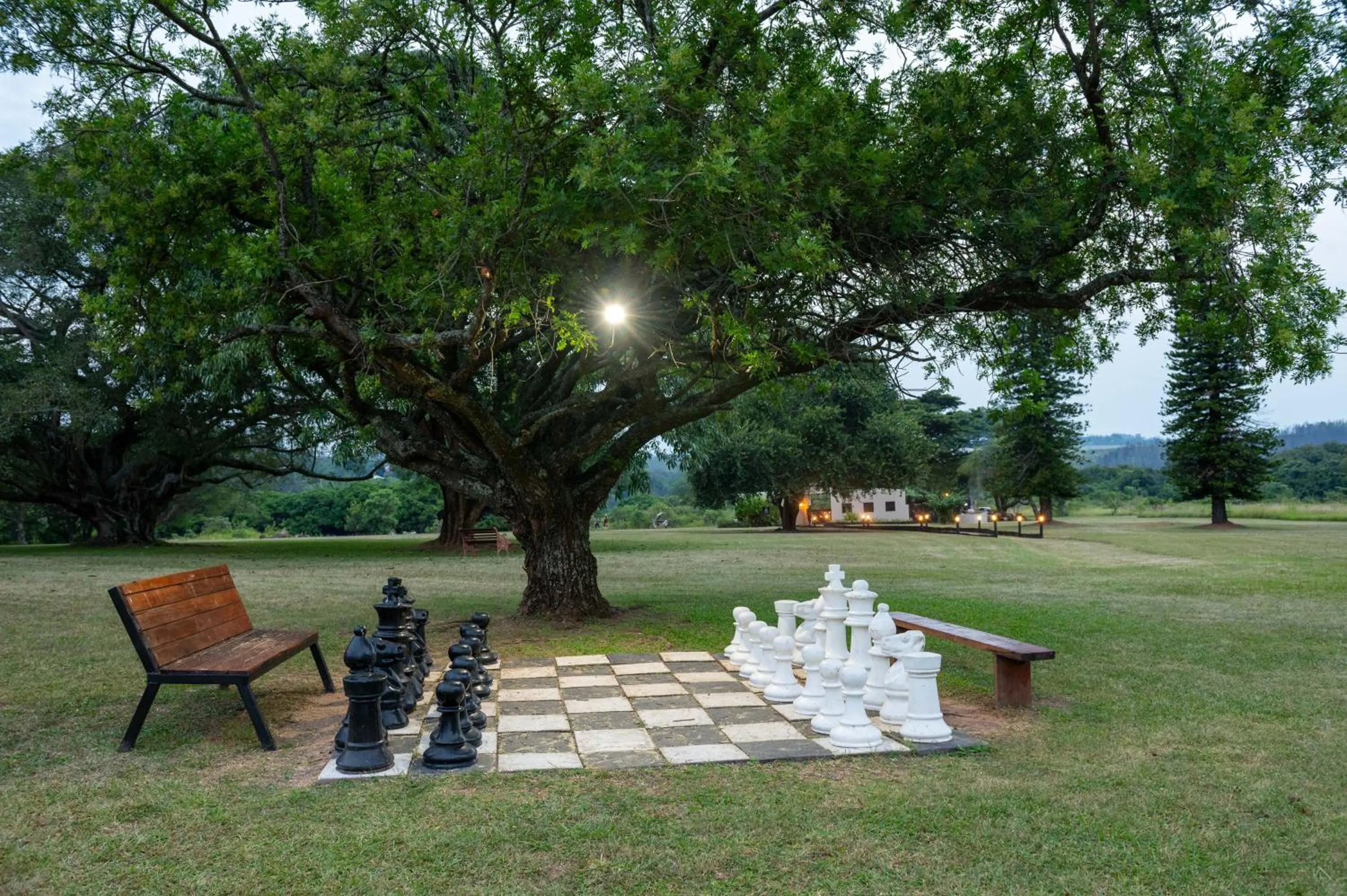 Sports in Premier Hotel The Winkler