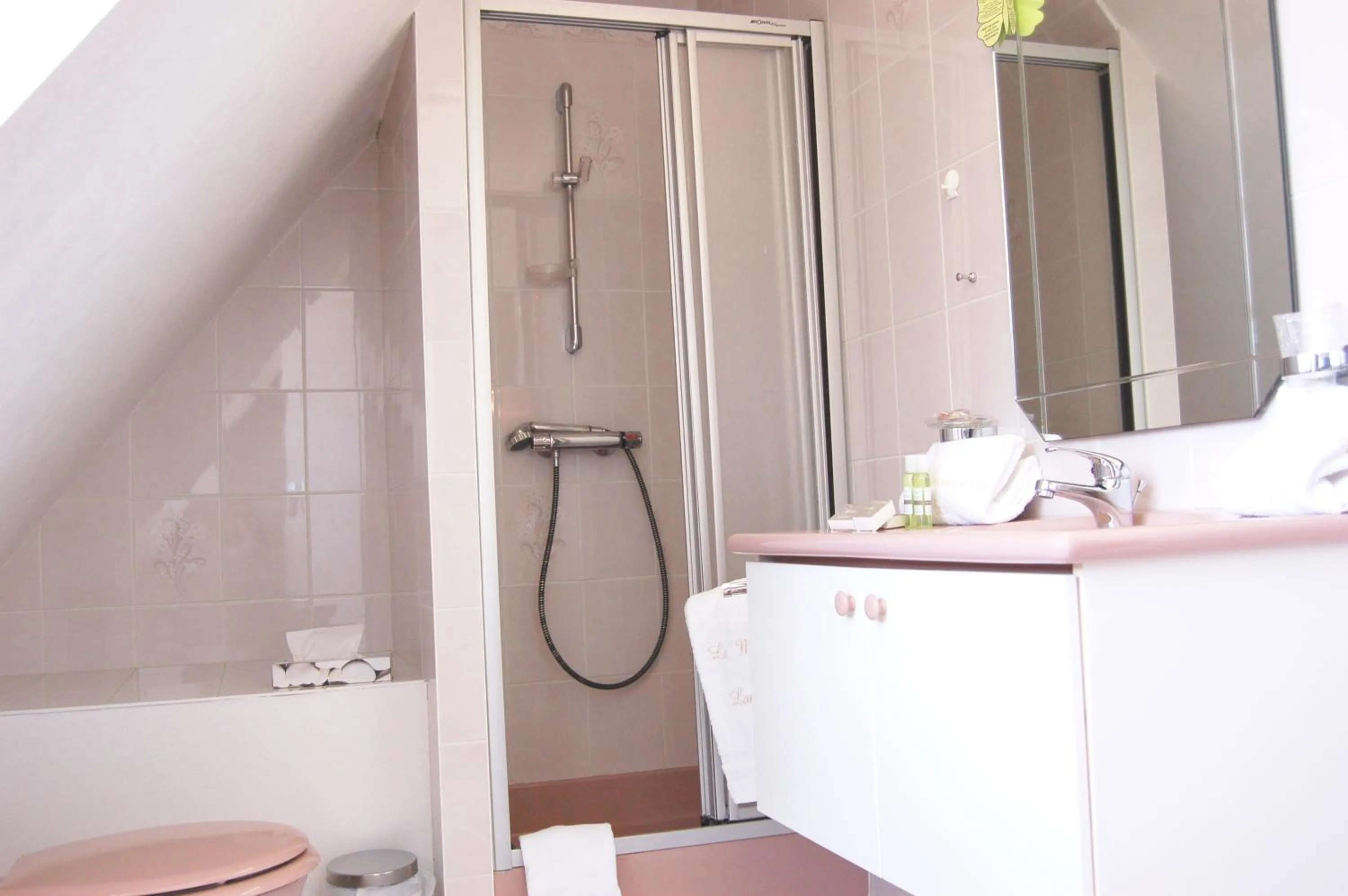 Shower in Hotel Spa La Malouinière Des Longchamps - Saint-Malo