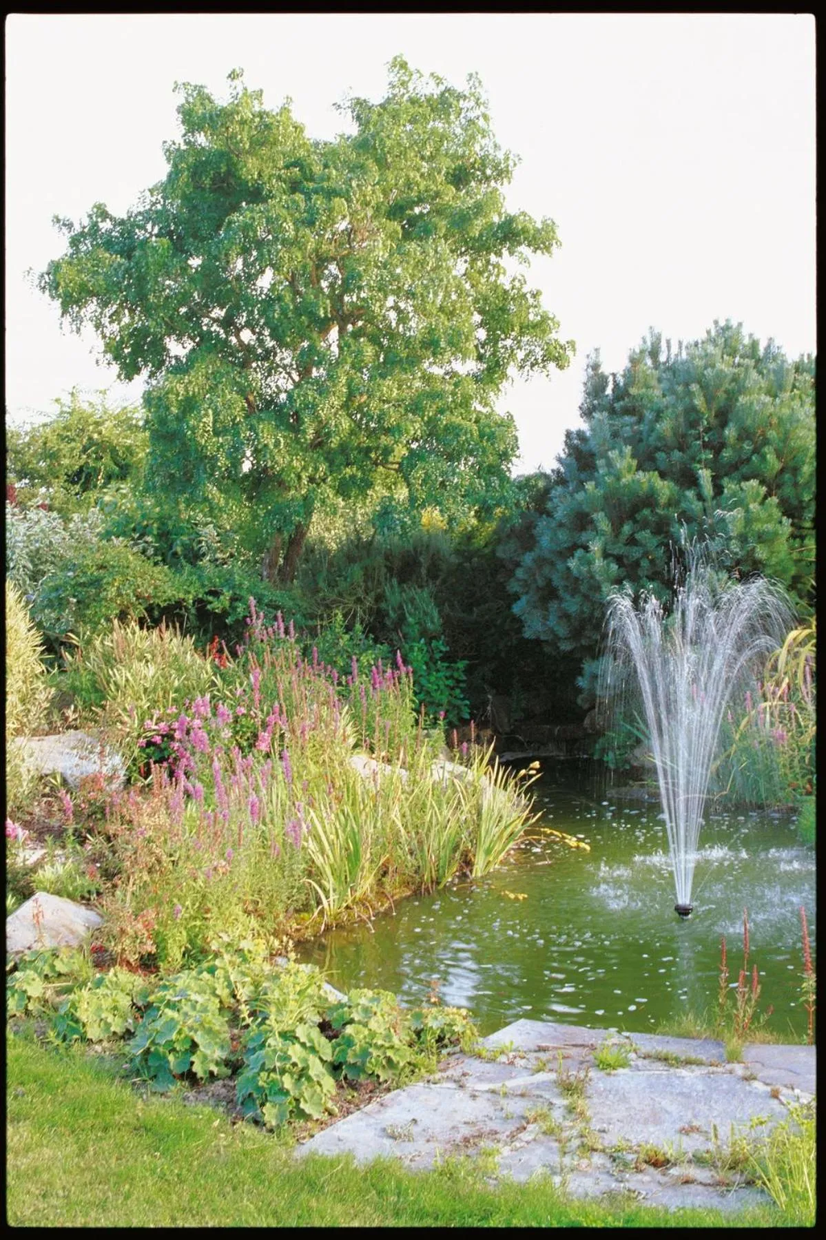 Garden view in Hotel Spa La Malouinière Des Longchamps - Saint-Malo