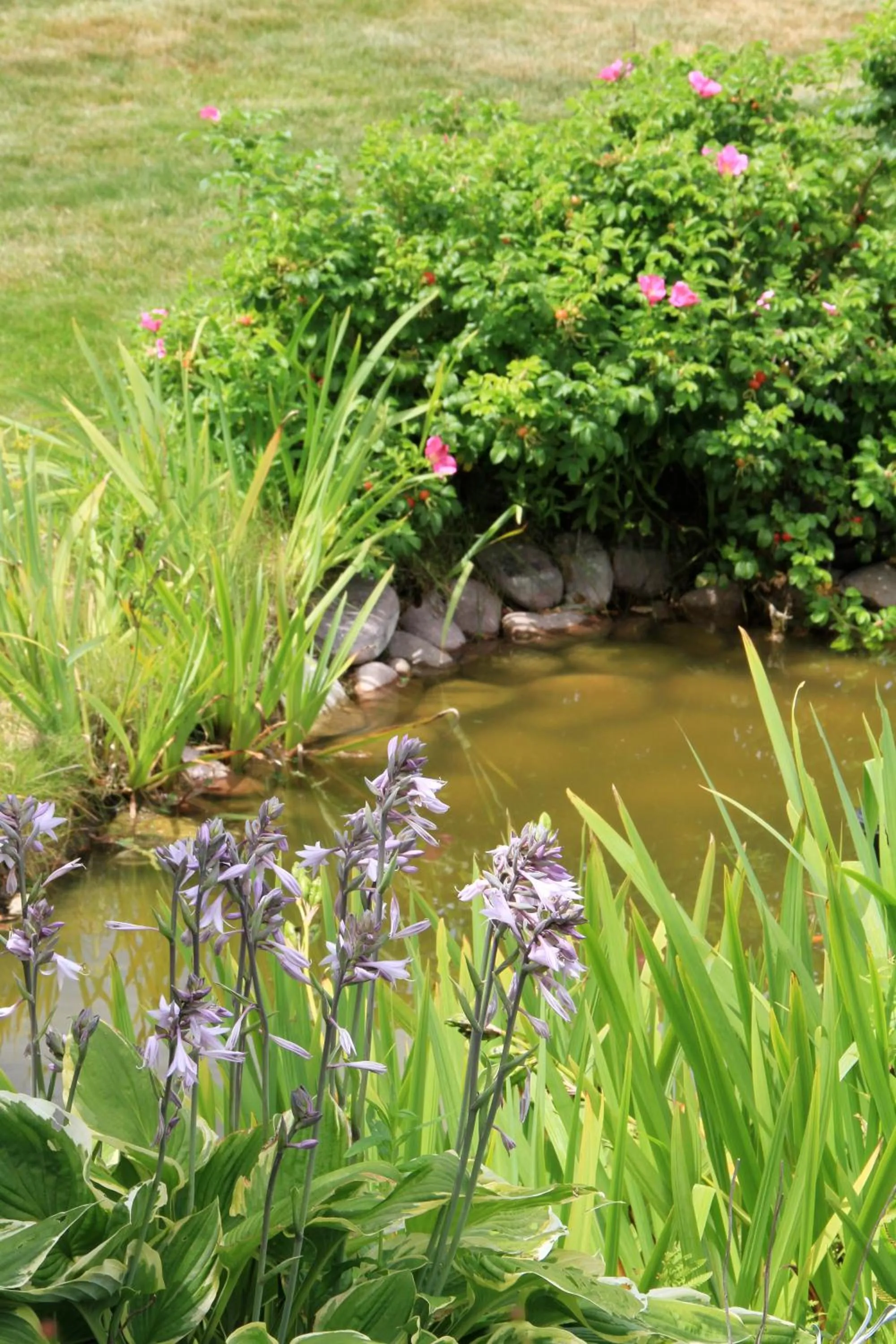 Garden in Hotel Spa La Malouinière Des Longchamps - Saint-Malo