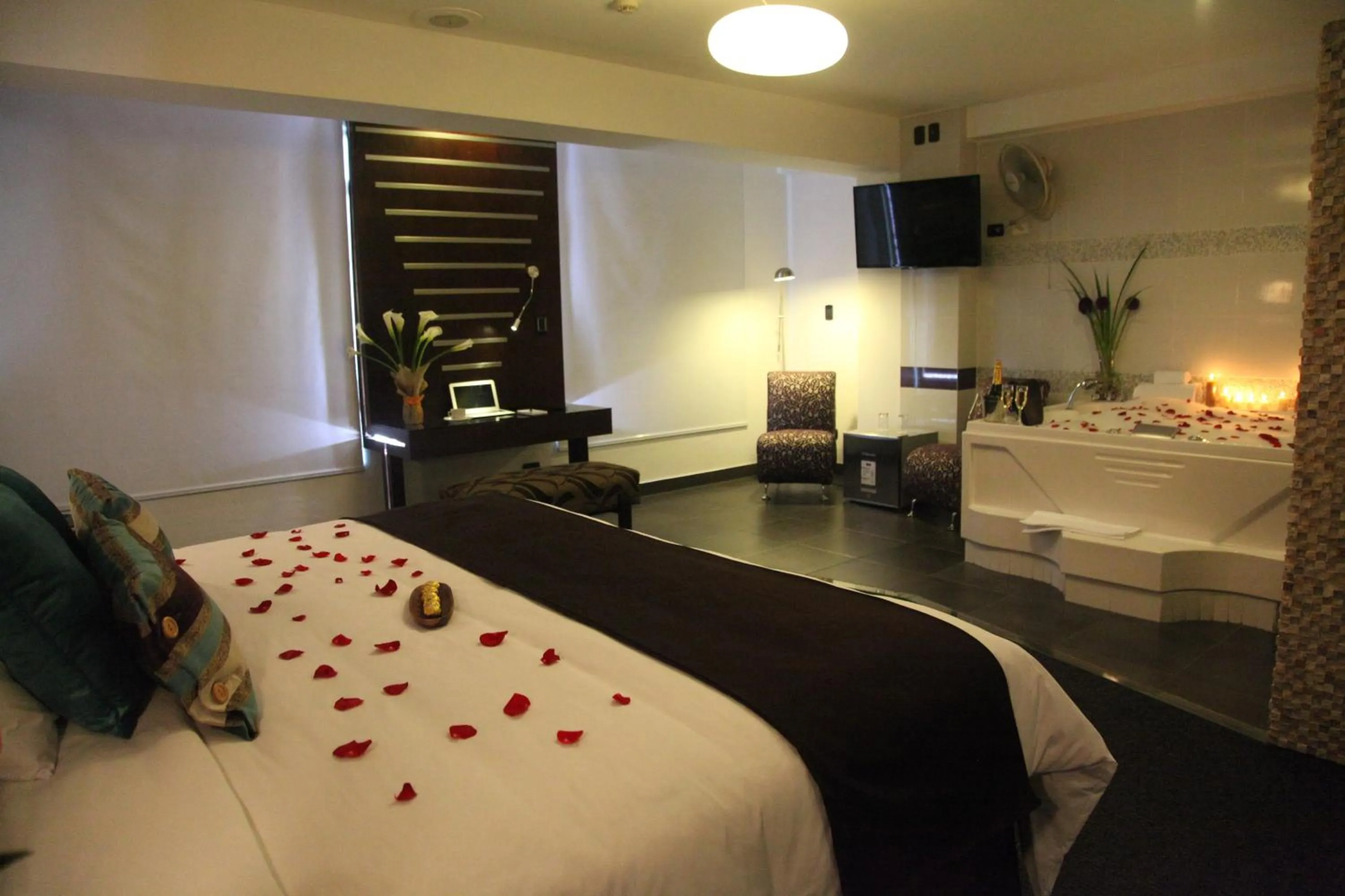 Bed in Hotel Rivera Inn