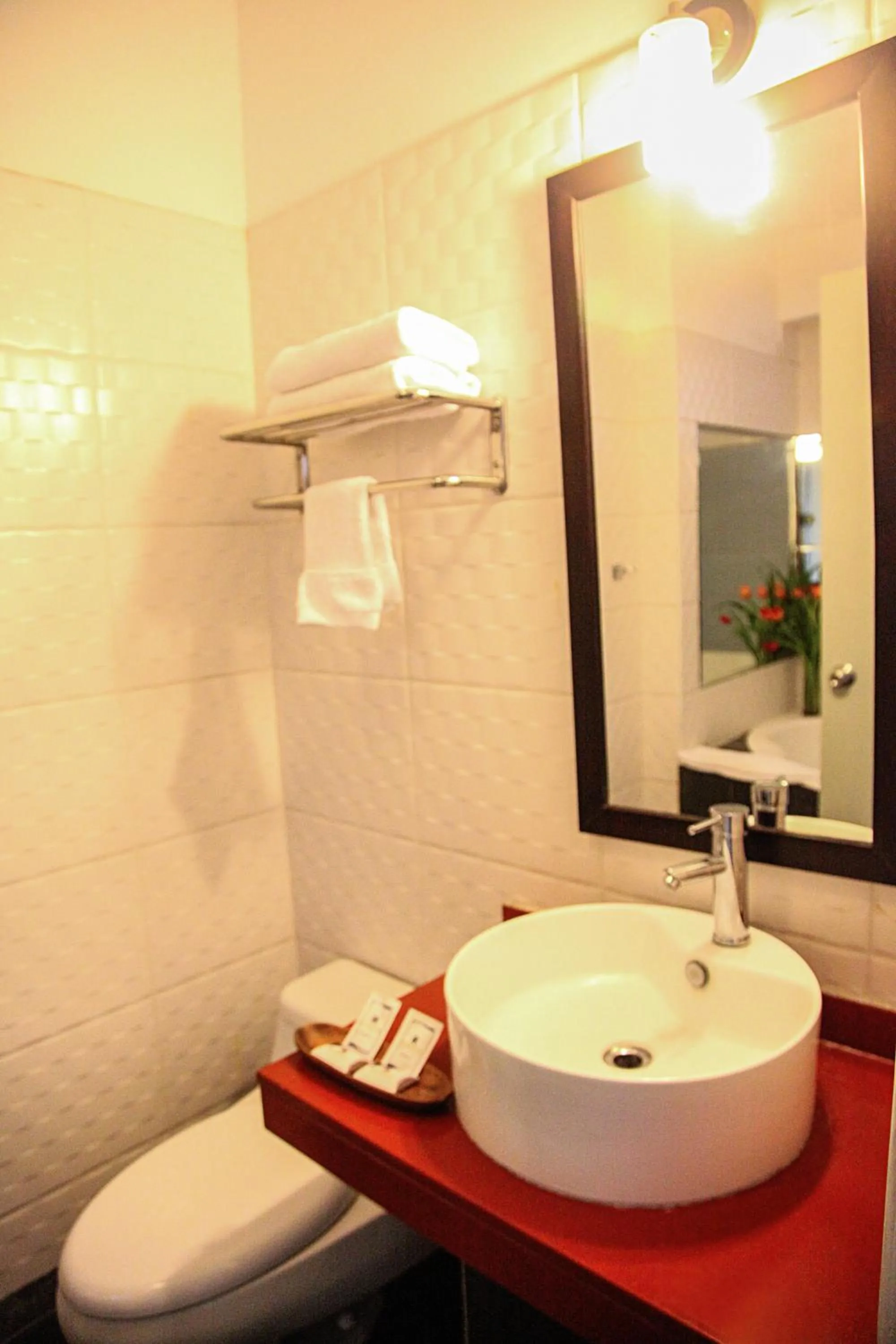 Toilet in Hotel Rivera Inn