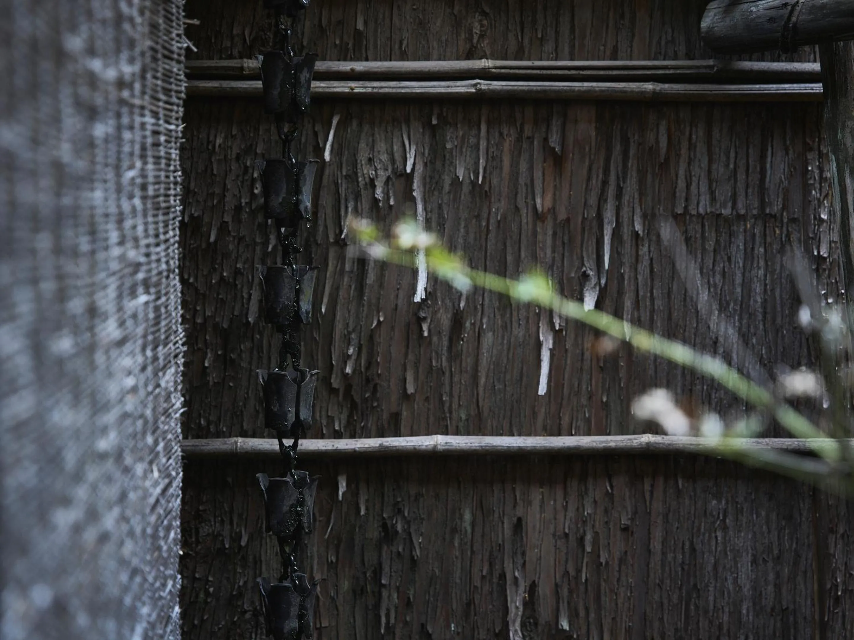 Garden in Kyoto Inn Gion