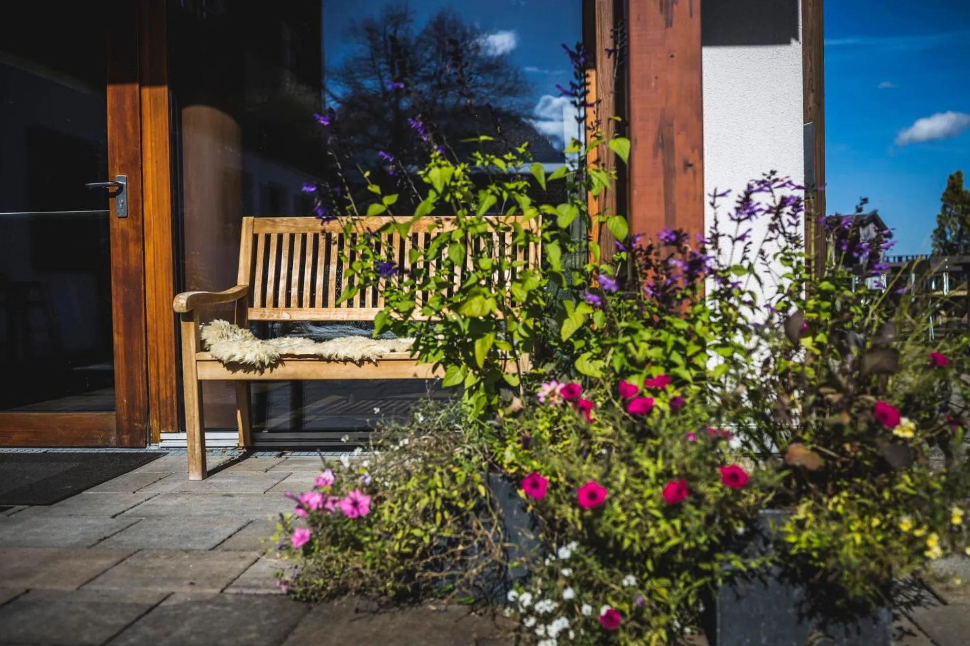 Property building in Familotel Alphotel