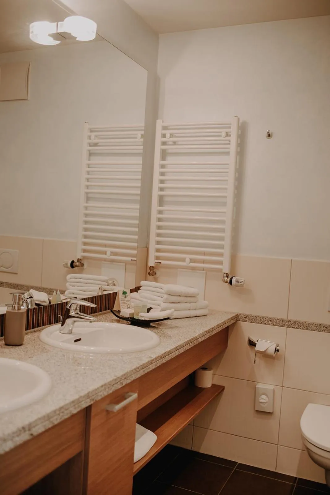 Shower in Hotel Seeblick