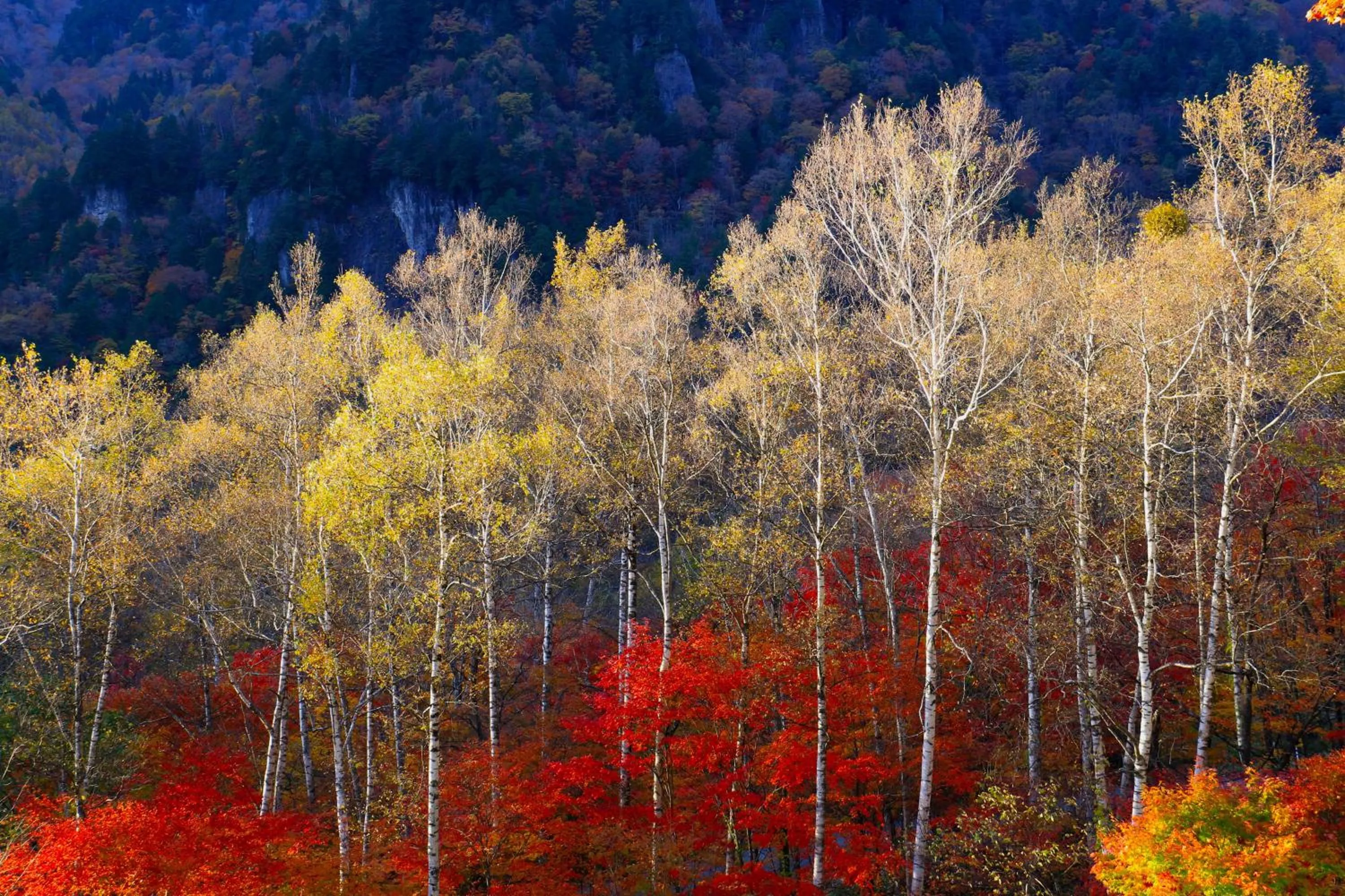 Nearby landmark in Nakao Kogen Hotel Kazaguruma