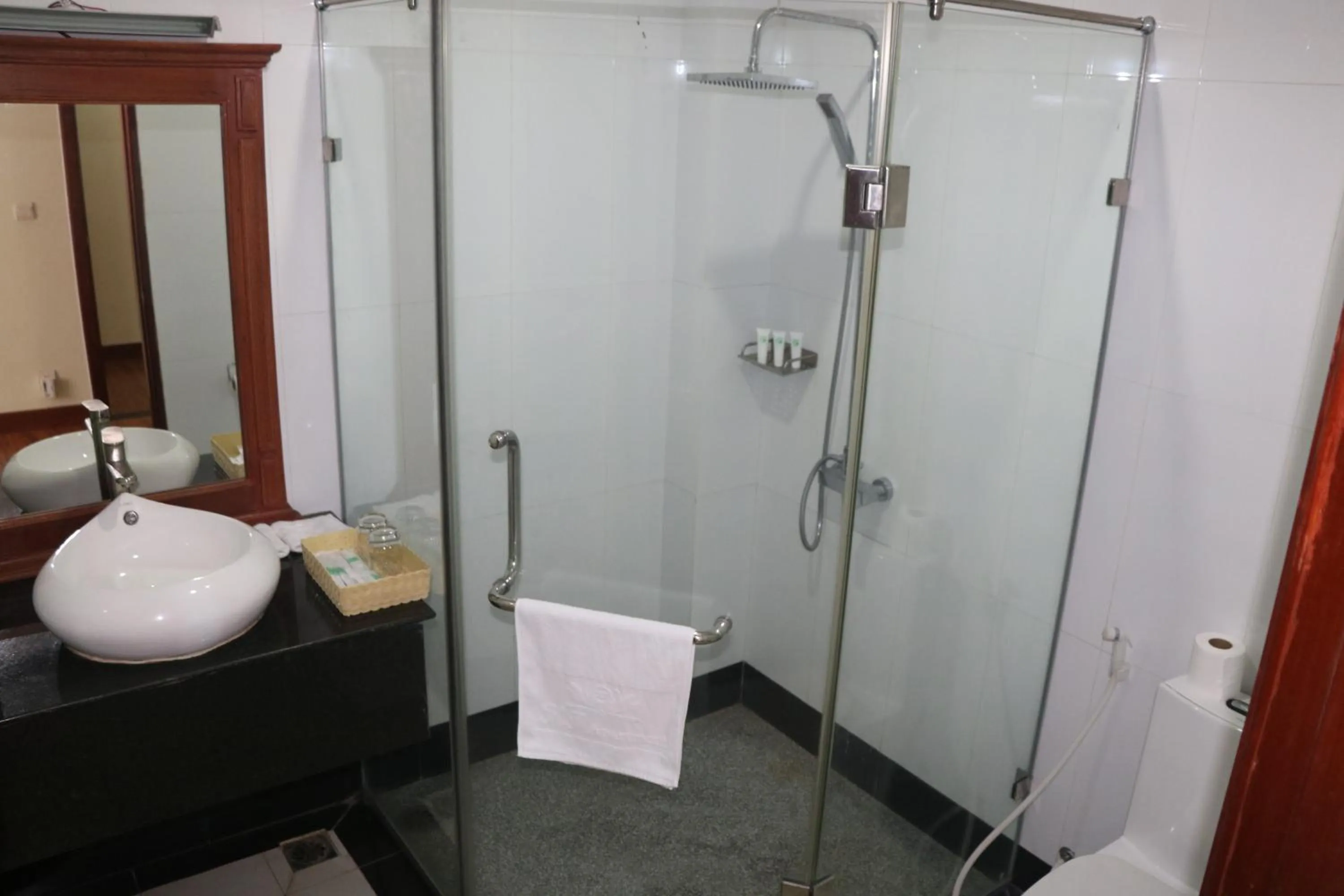 Shower in KT Apartment