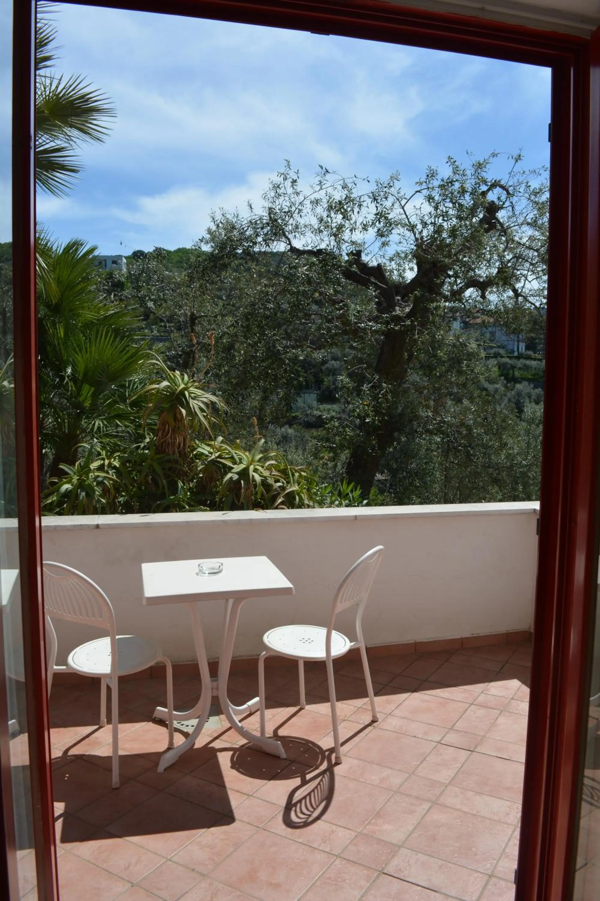 Balcony/Terrace in Hotel Dania