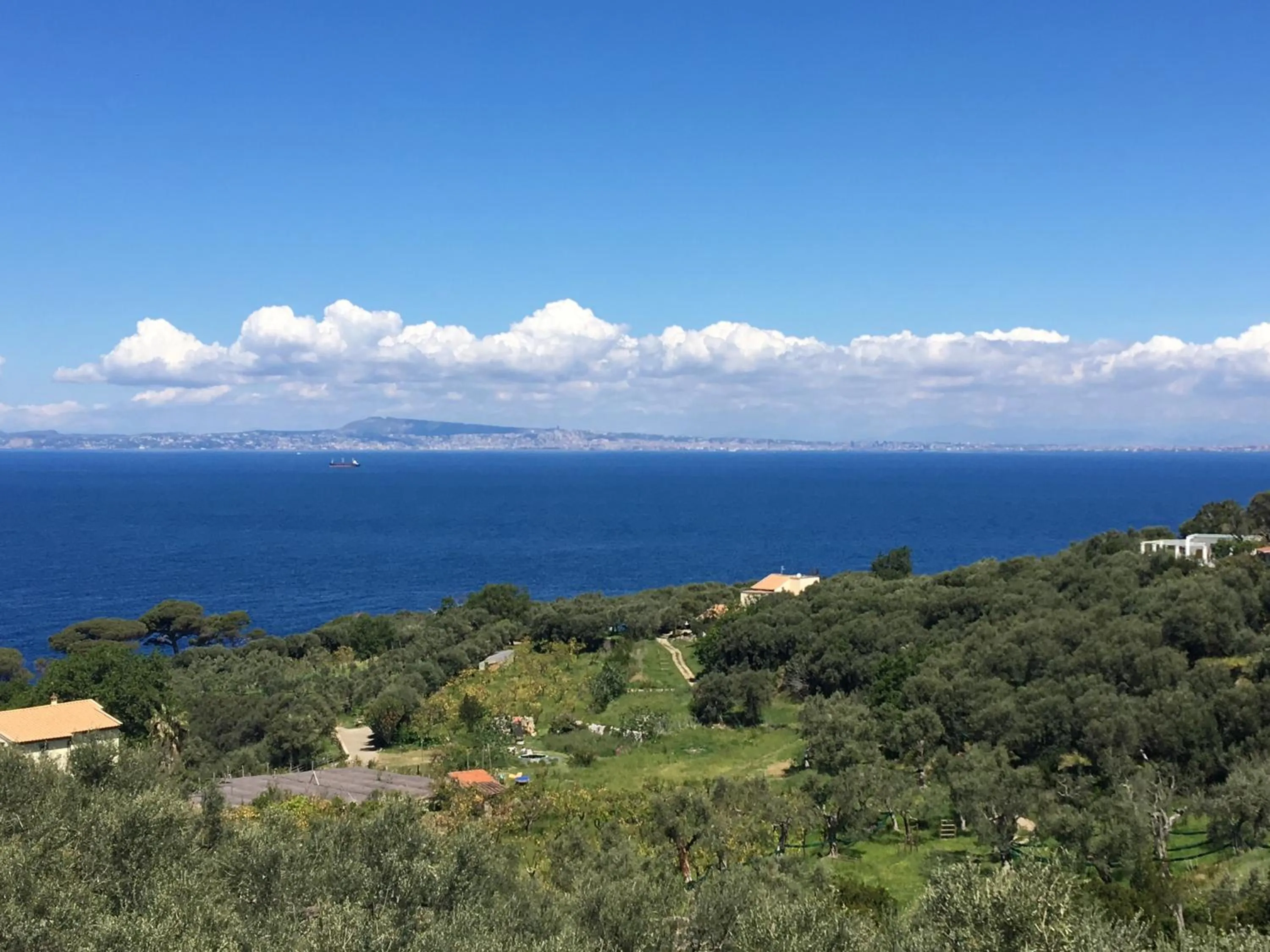 Sea view in Hotel Dania