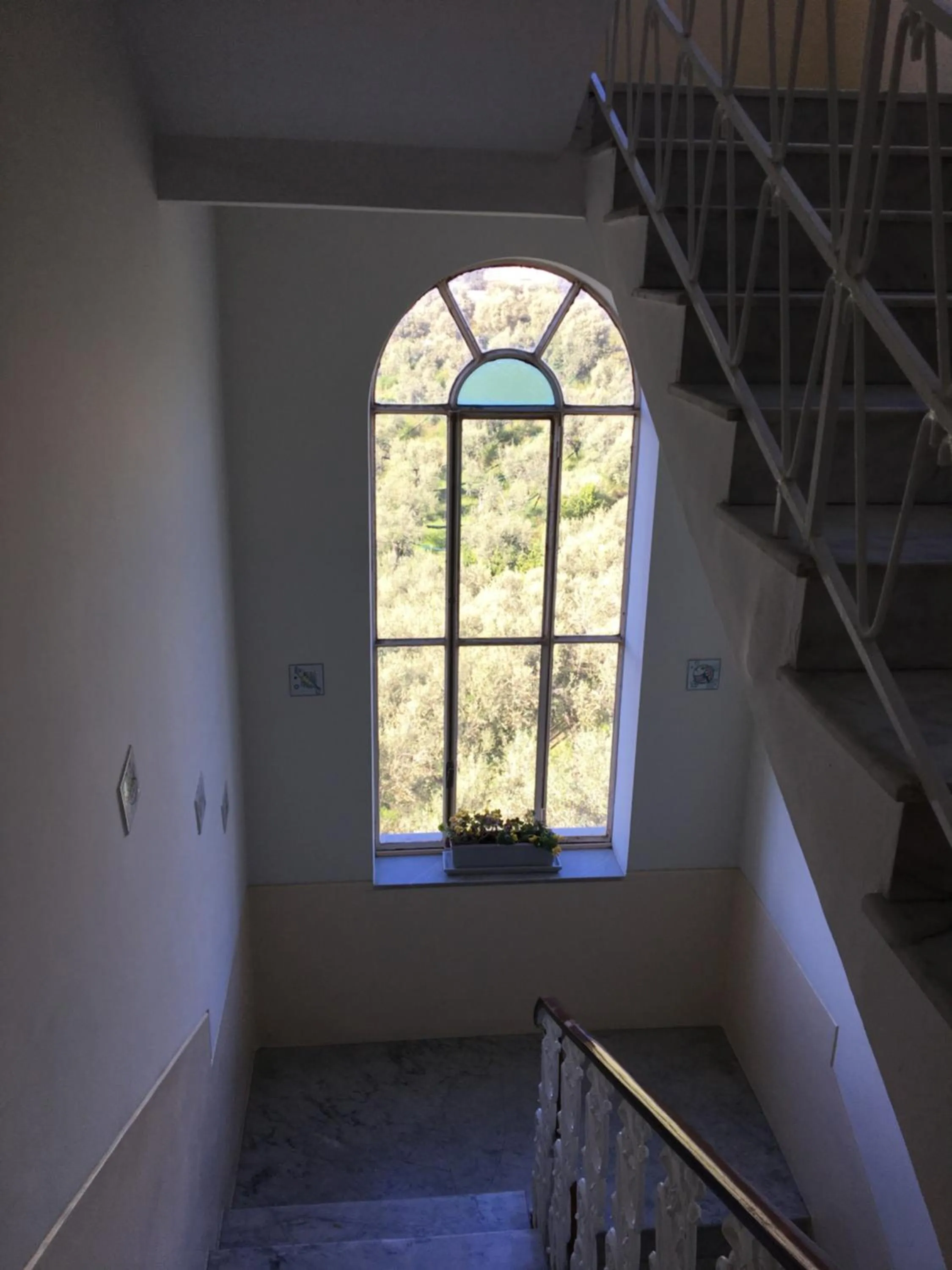 Decorative detail in Hotel Dania