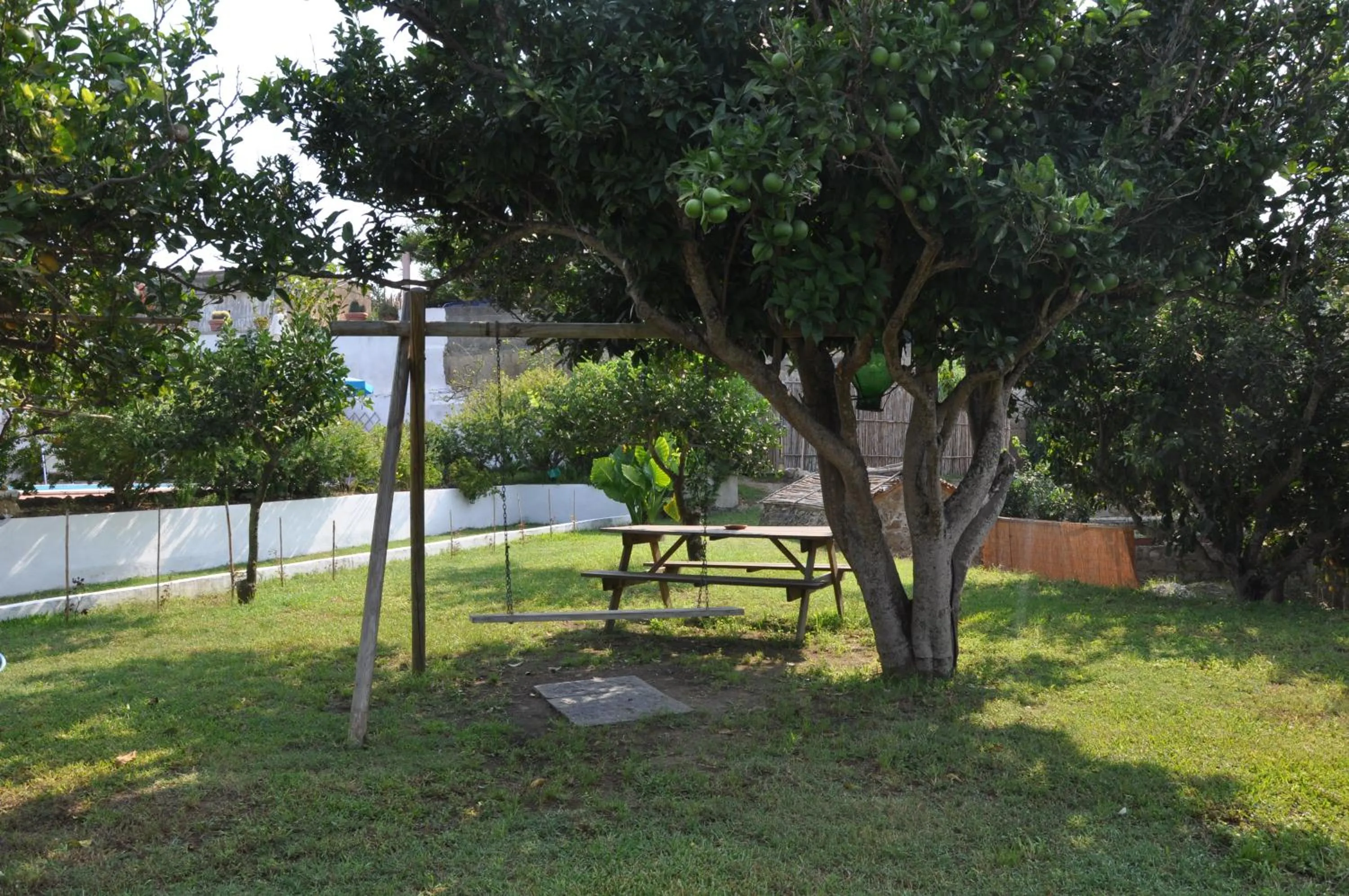 Garden in Hotel Savoia