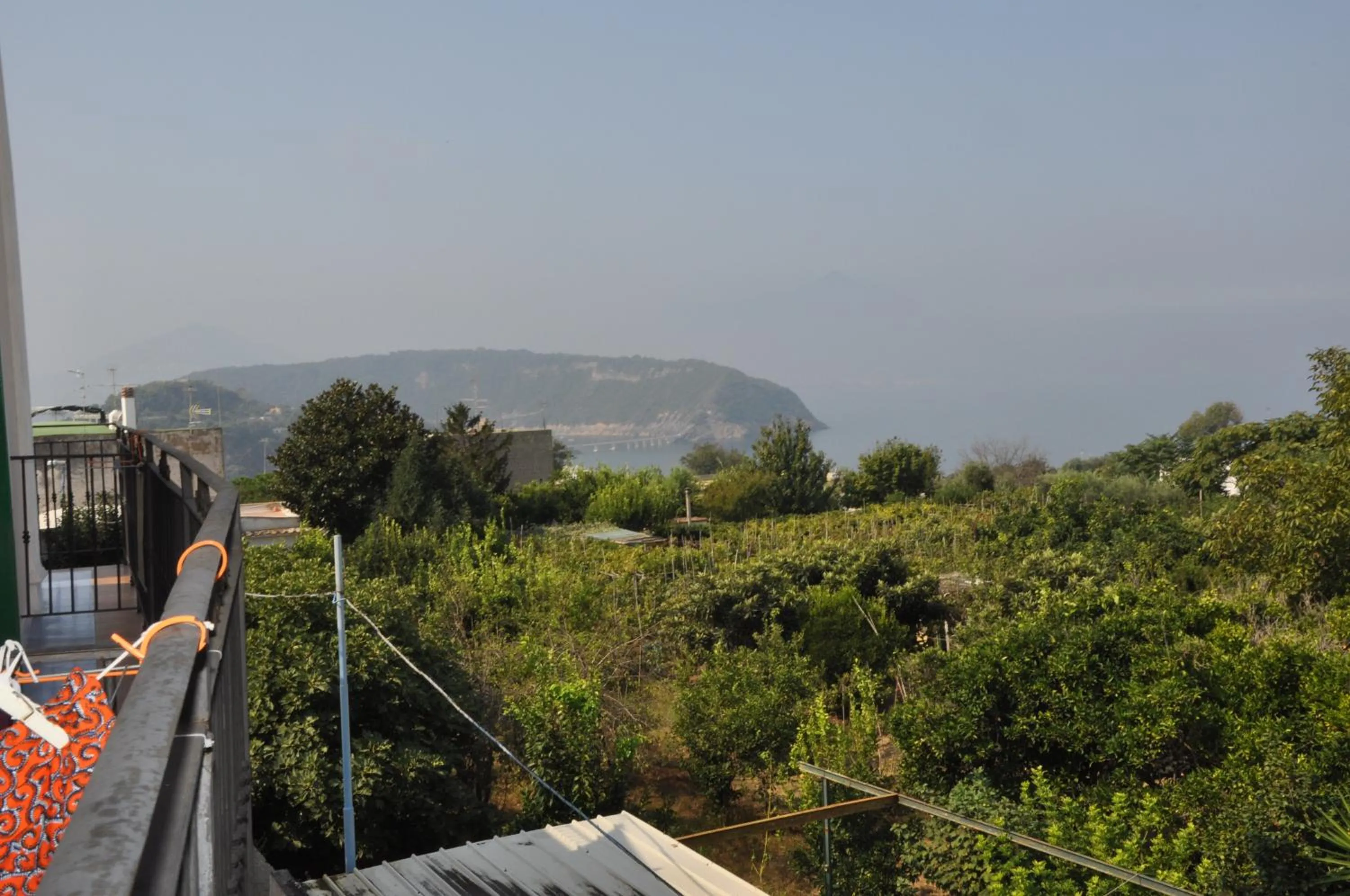 Natural landscape in Hotel Savoia