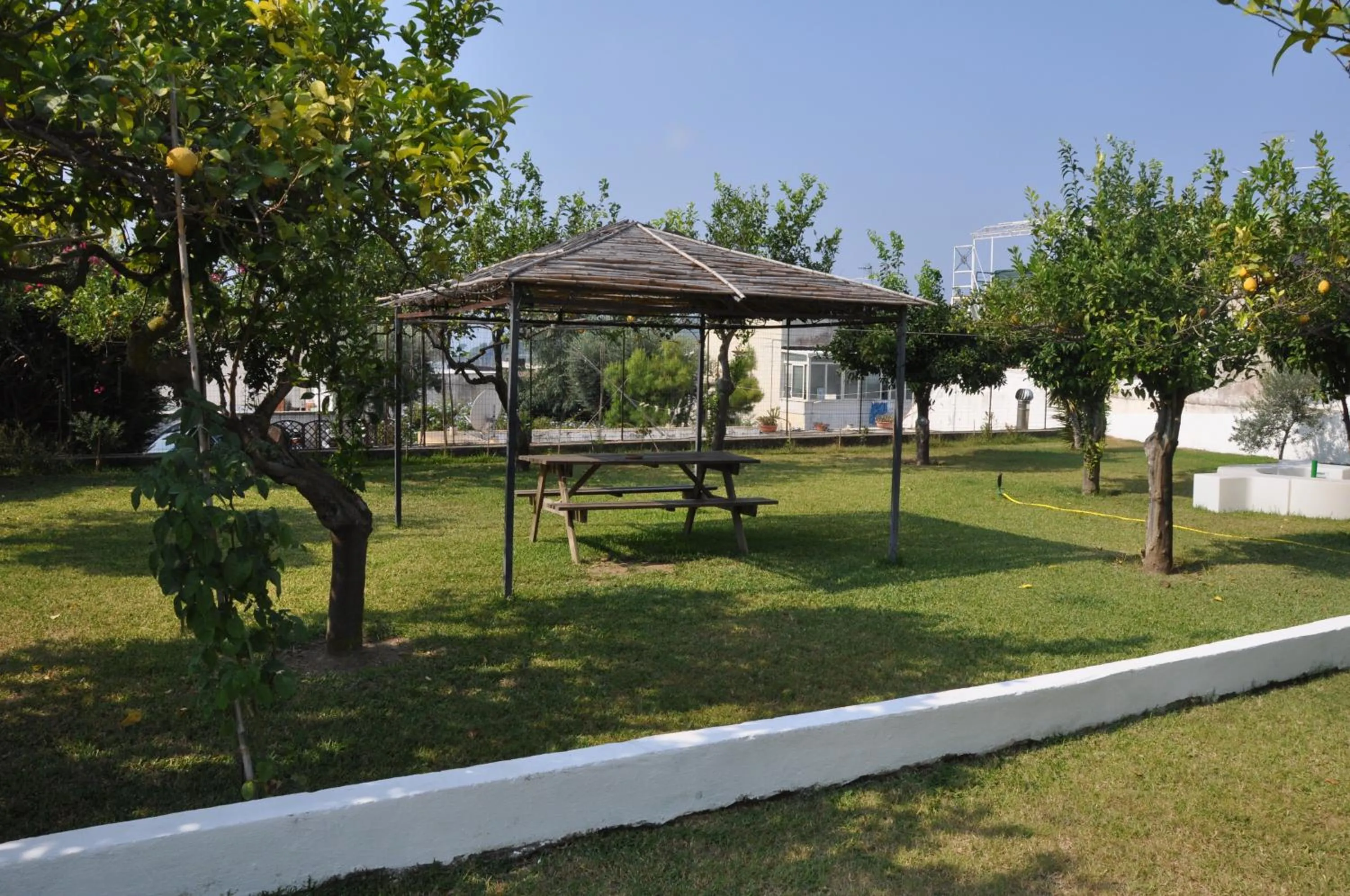 Garden in Hotel Savoia