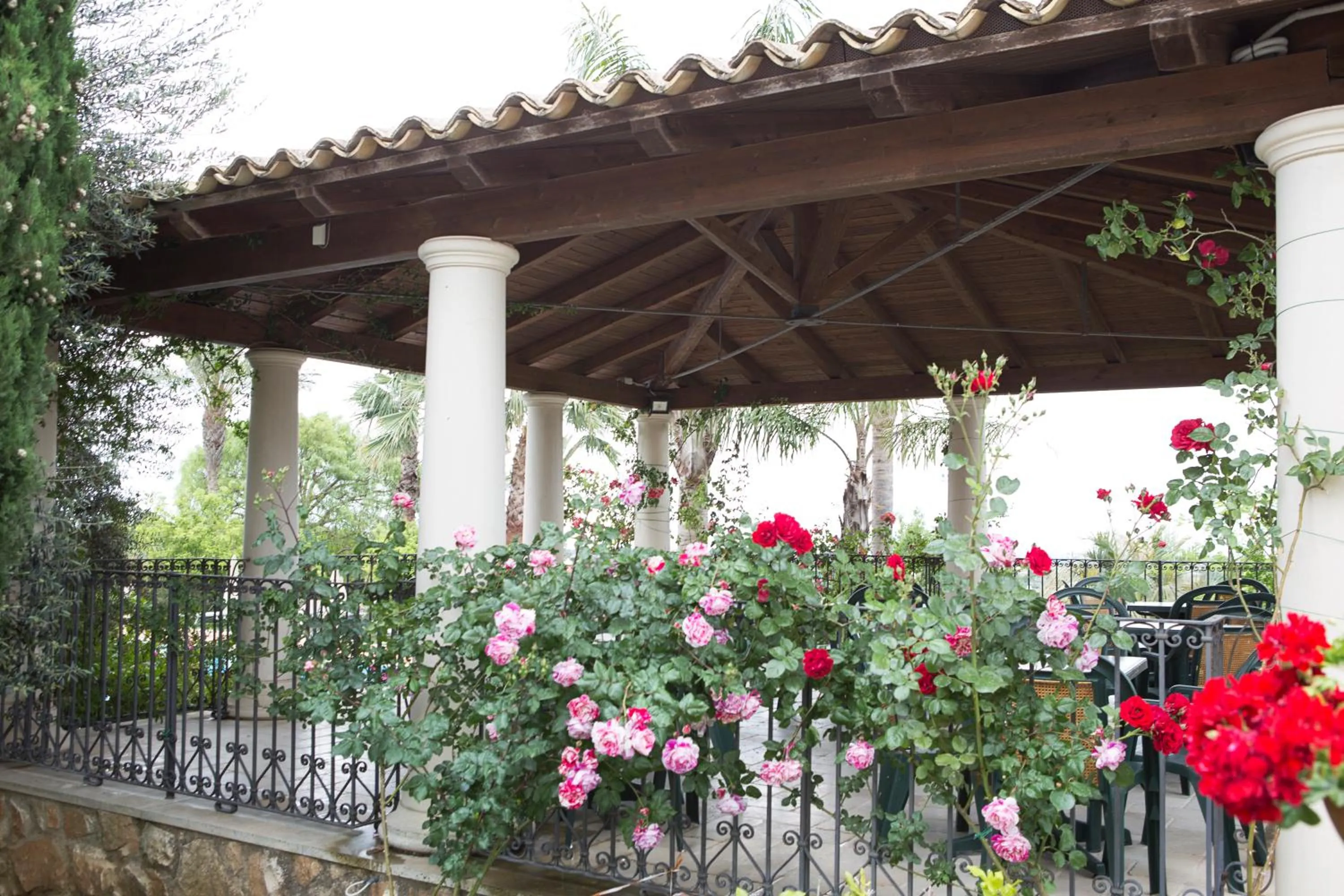 Garden in Agriturismo Il Granaio Hotel & SPA