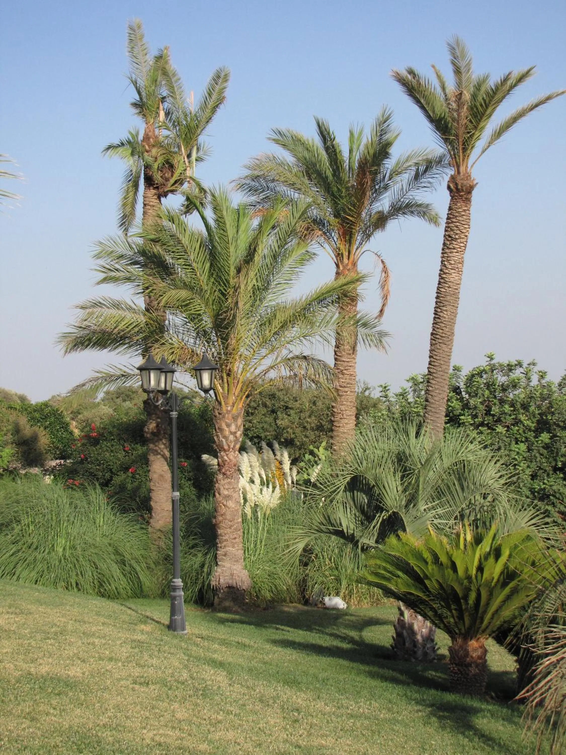 Day in Agriturismo Il Granaio Hotel & SPA