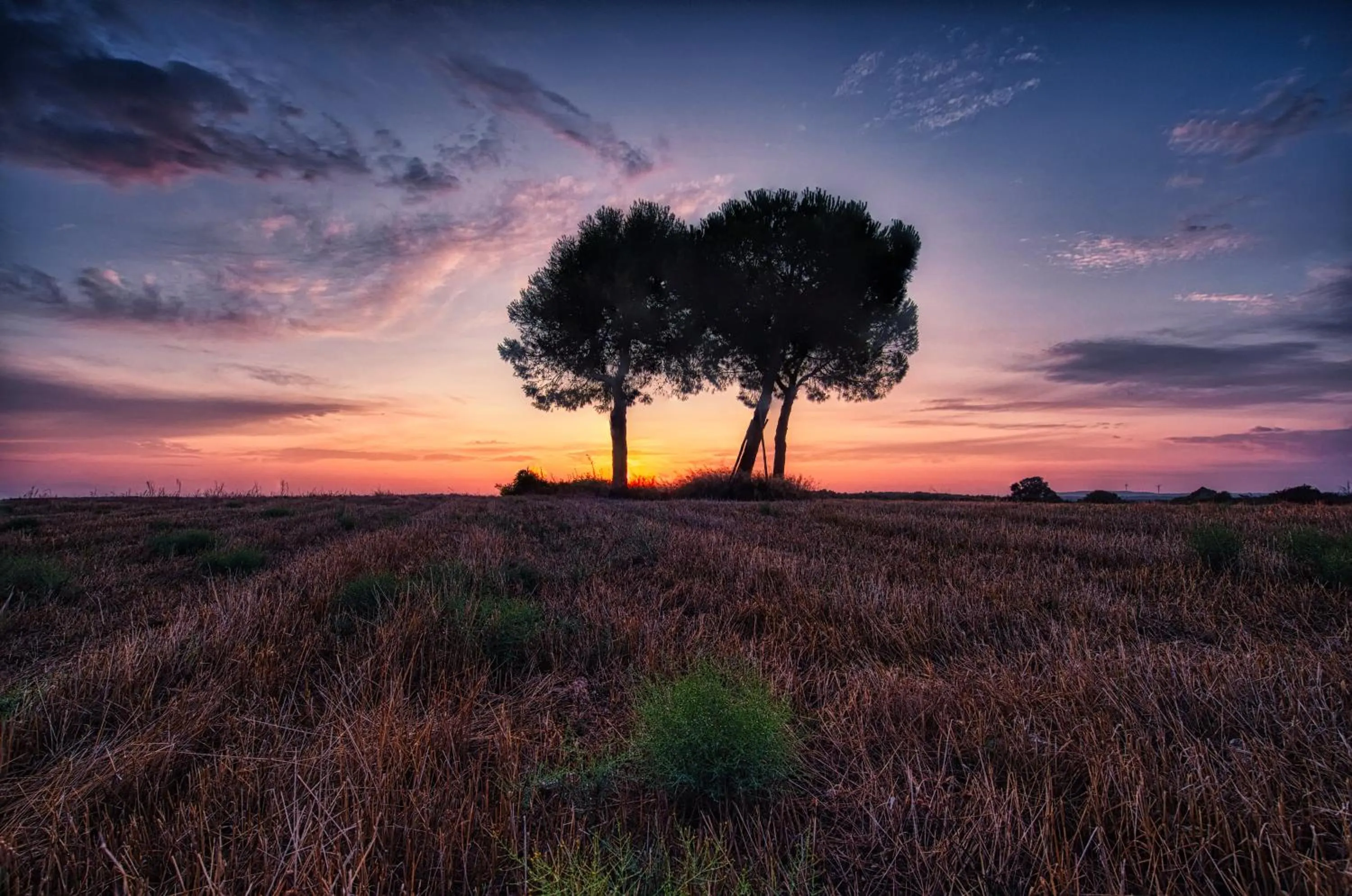 Natural landscape in Masseria Bagnara Resort & Spa