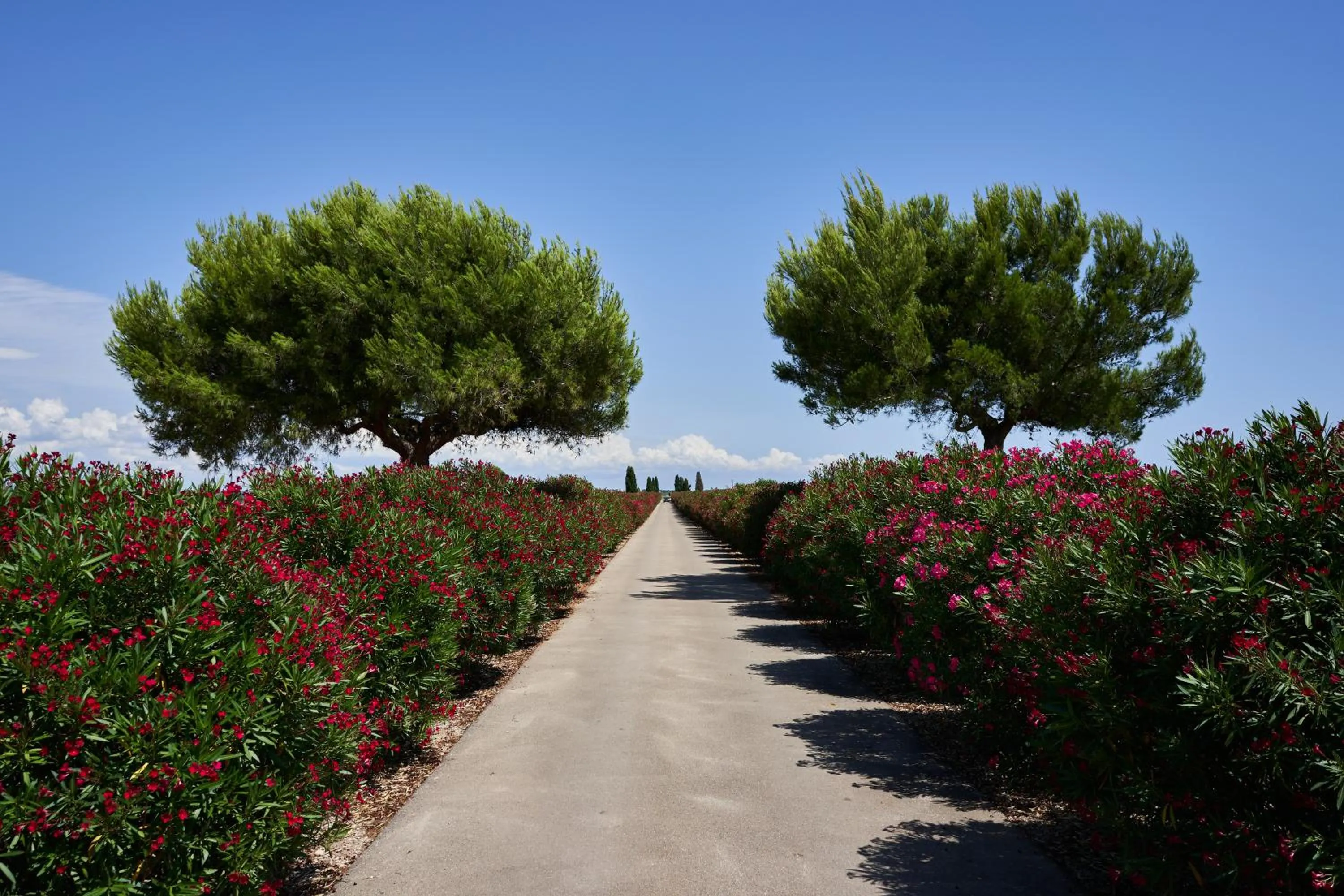 Natural landscape in Masseria Bagnara Resort & Spa