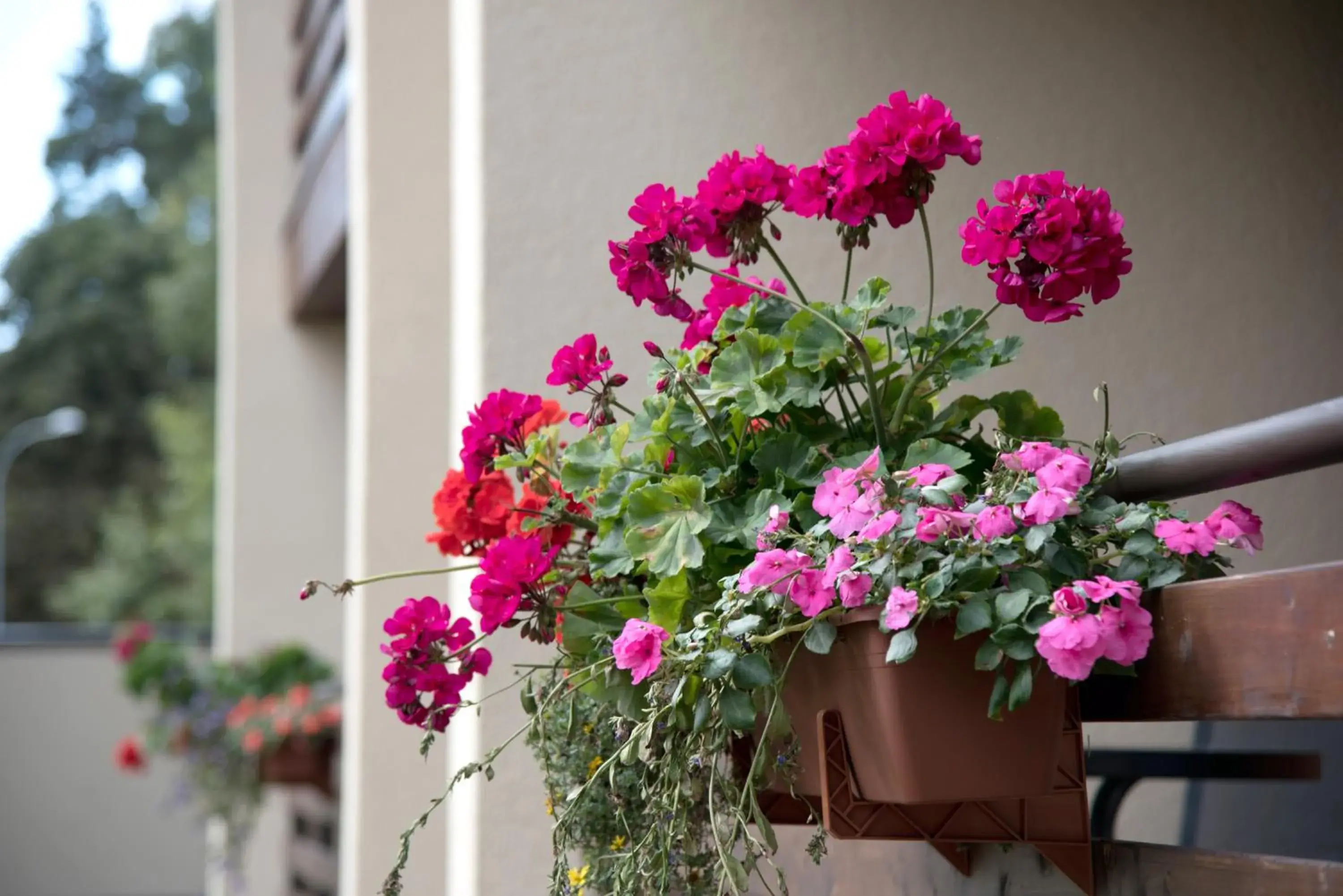 One-Bedroom Apartment with Balcony in Bella Jūrmala ApartHotel One-Bedroom Apartment with Balcony in Bella Jūrmala ApartHotel