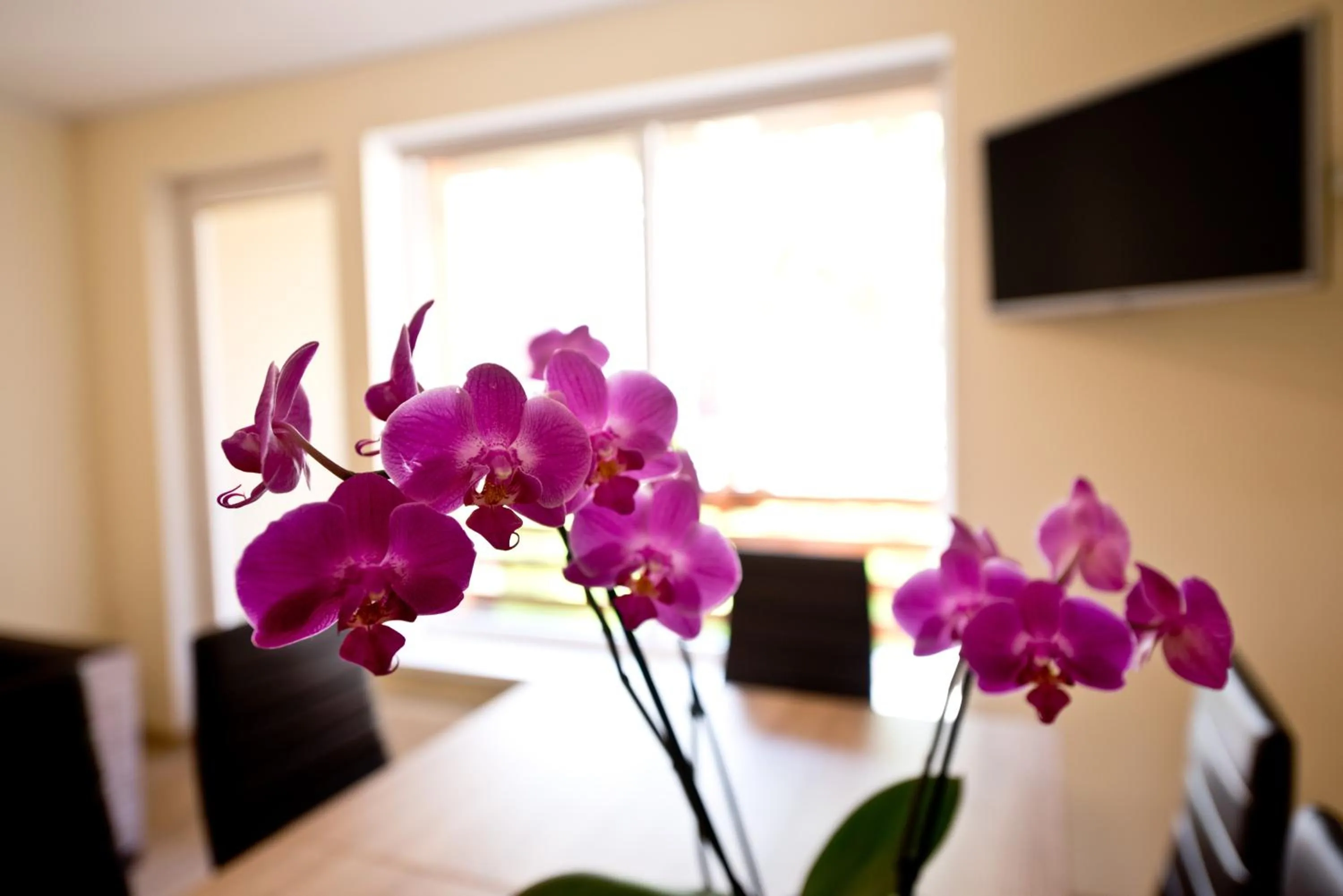 Seating area in Bella Jūrmala ApartHotel