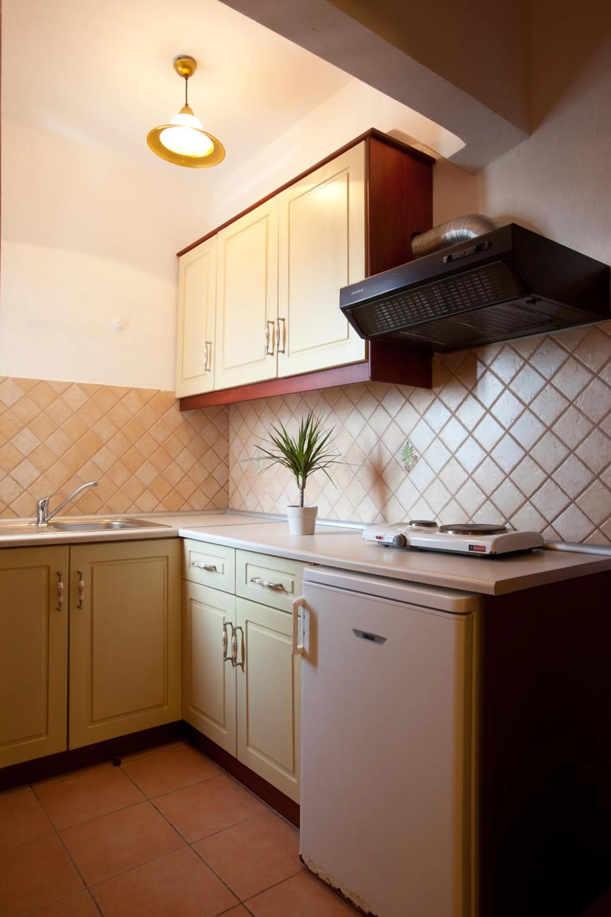 Kitchen or kitchenette in Hovolo Hotel Apartments