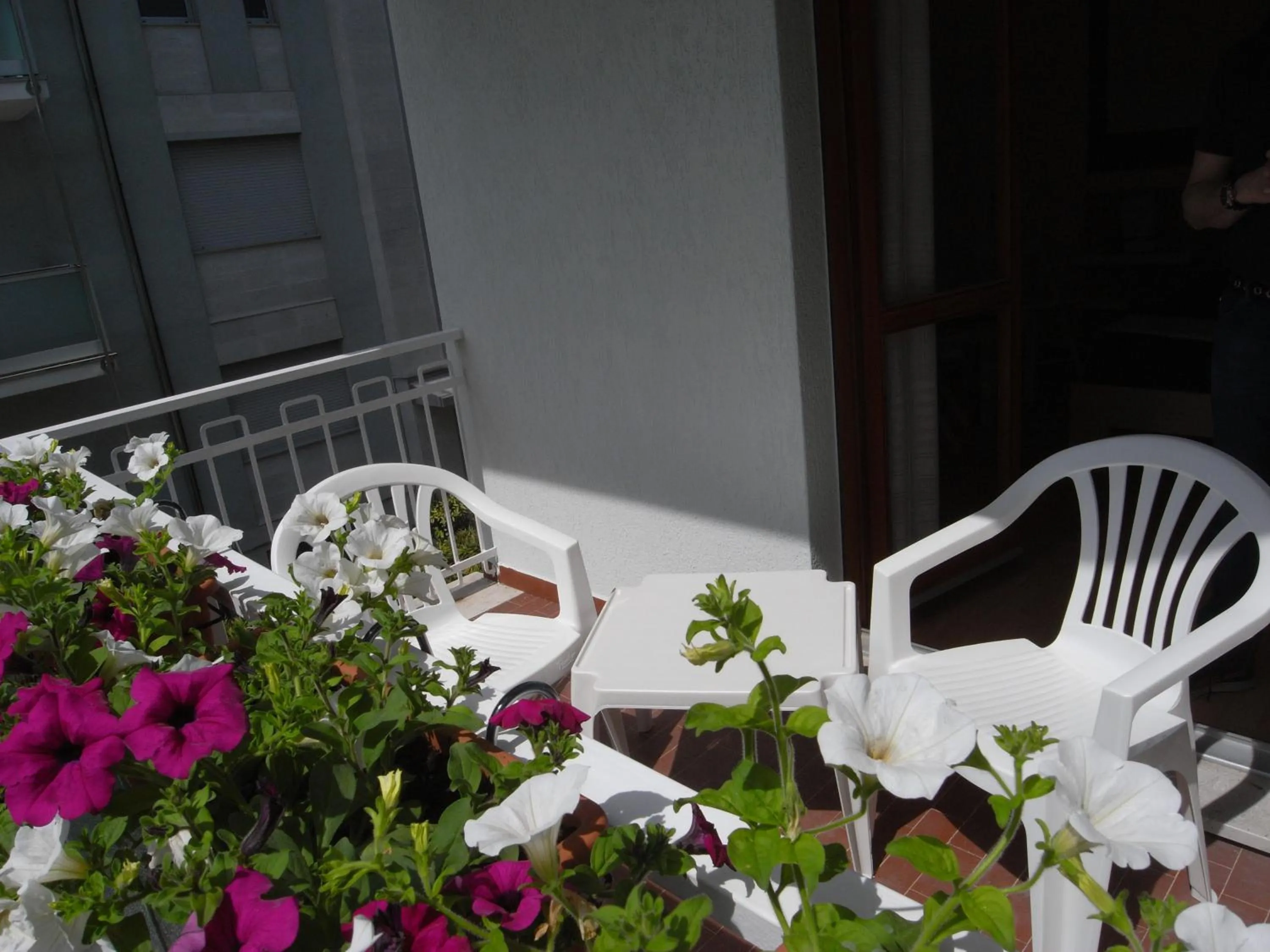 Balcony/Terrace in Hotel Moreri