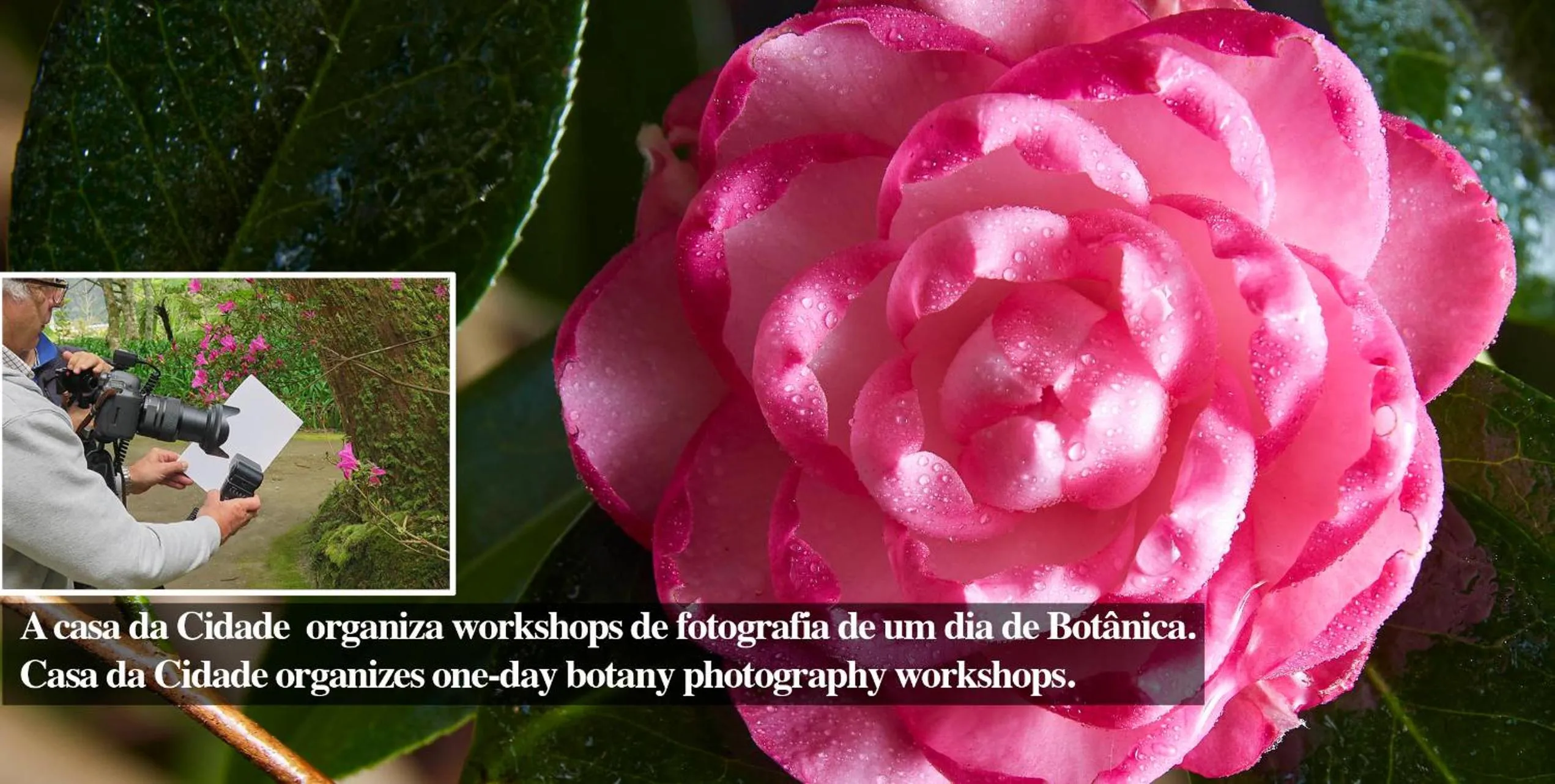 Entertainment in Casadacidade