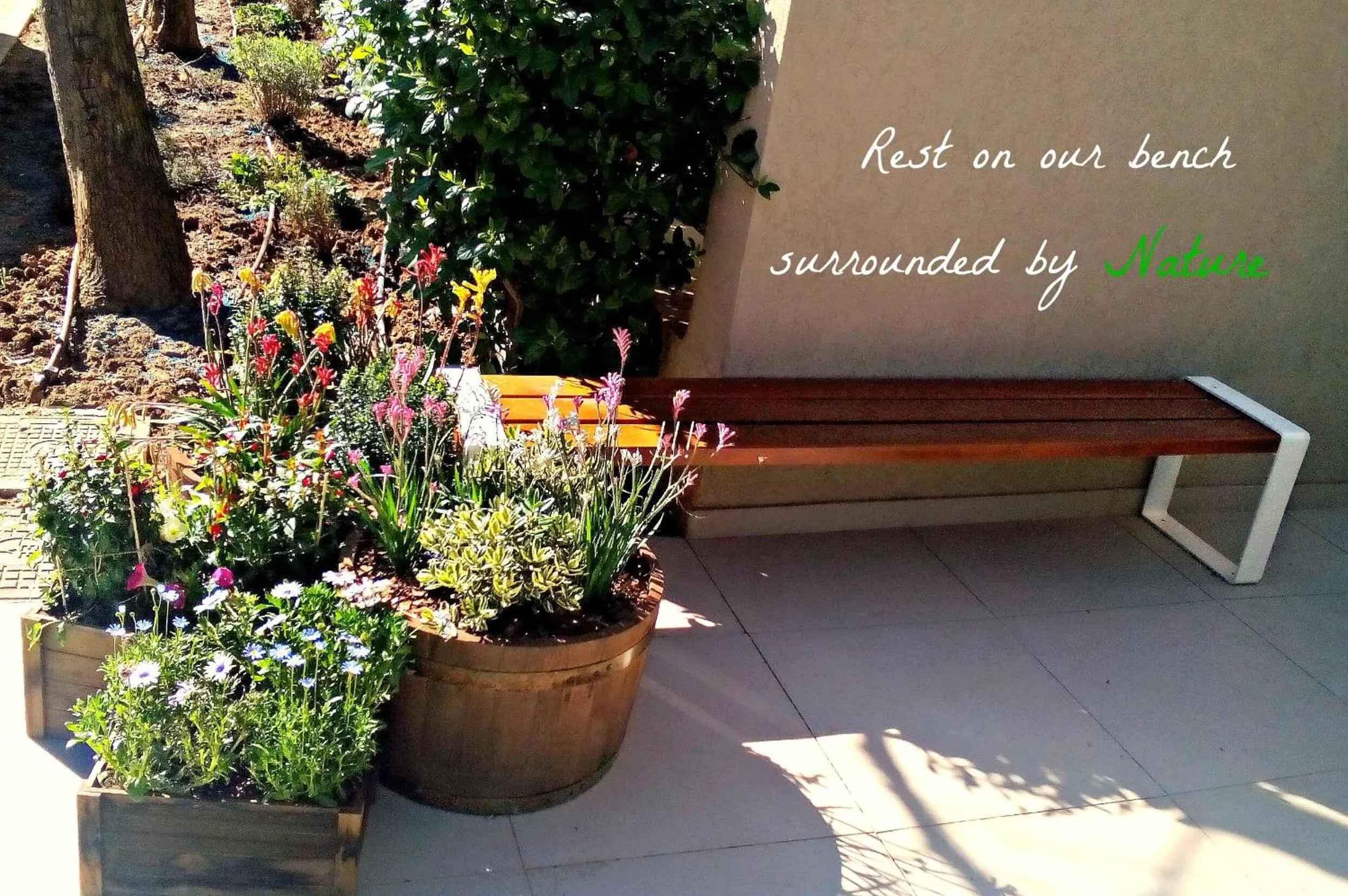 Other in Coco-Mat Hotel Nafsika