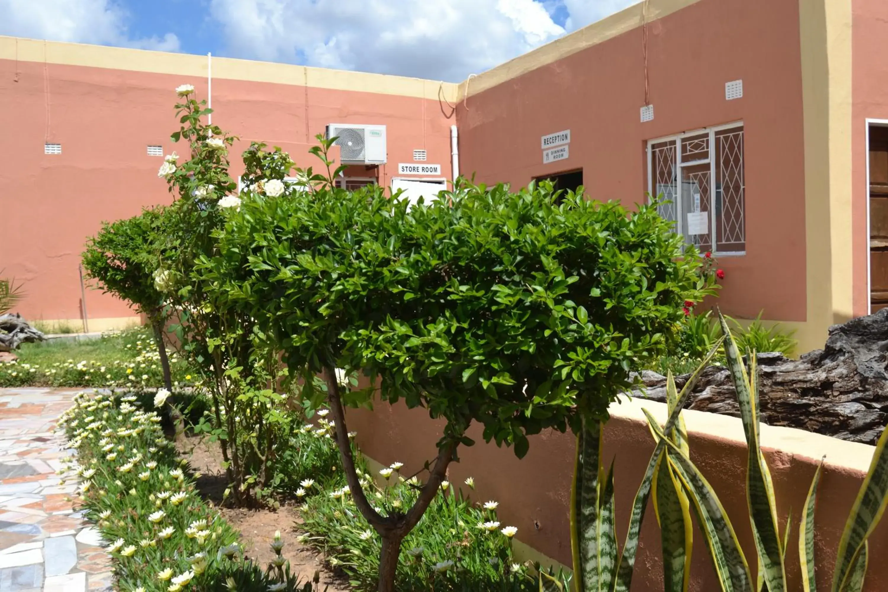 Seelo Guest Accommodation Seelo Guest Accommodation