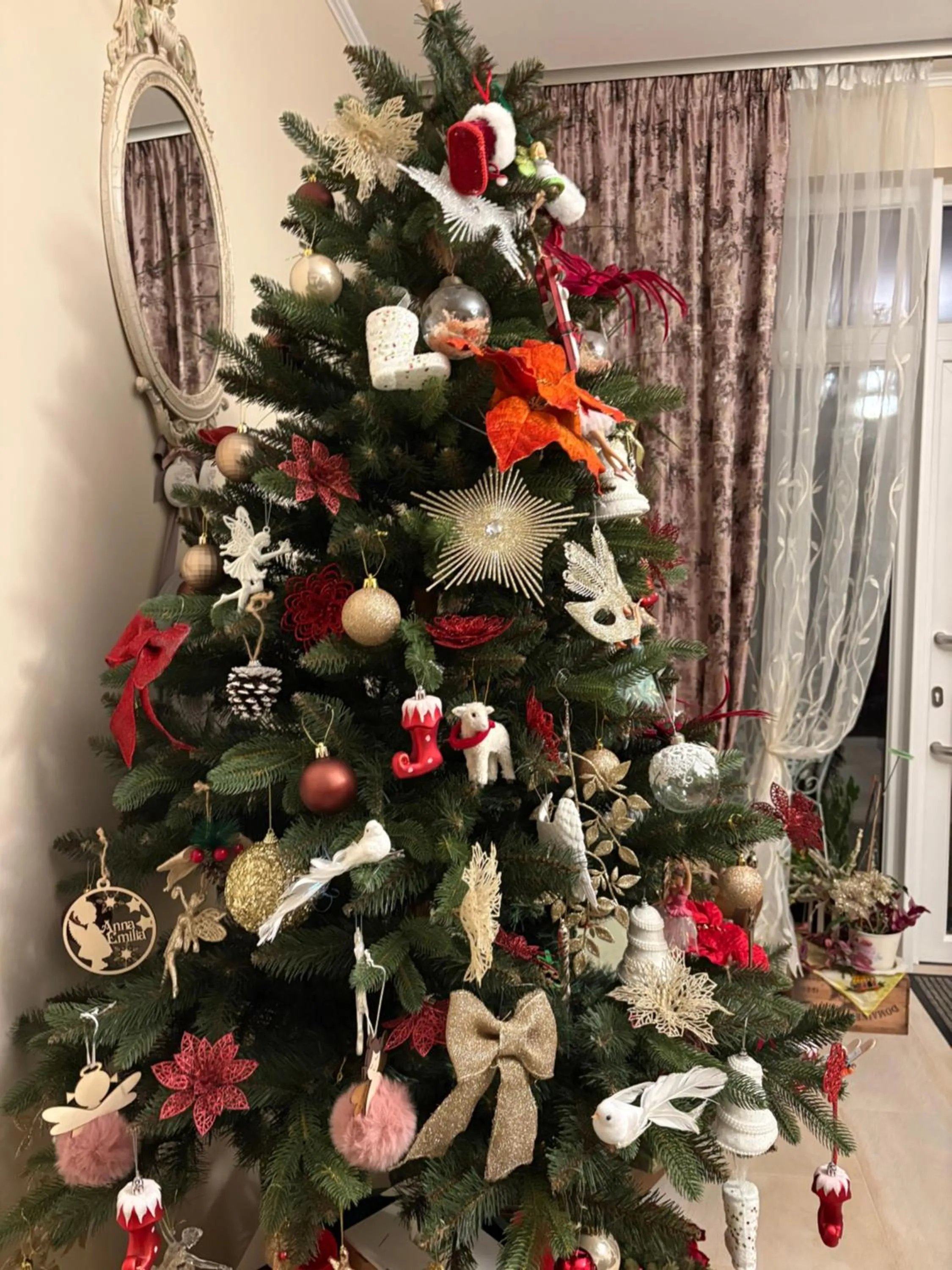 Casa Irlandeza - Irish House