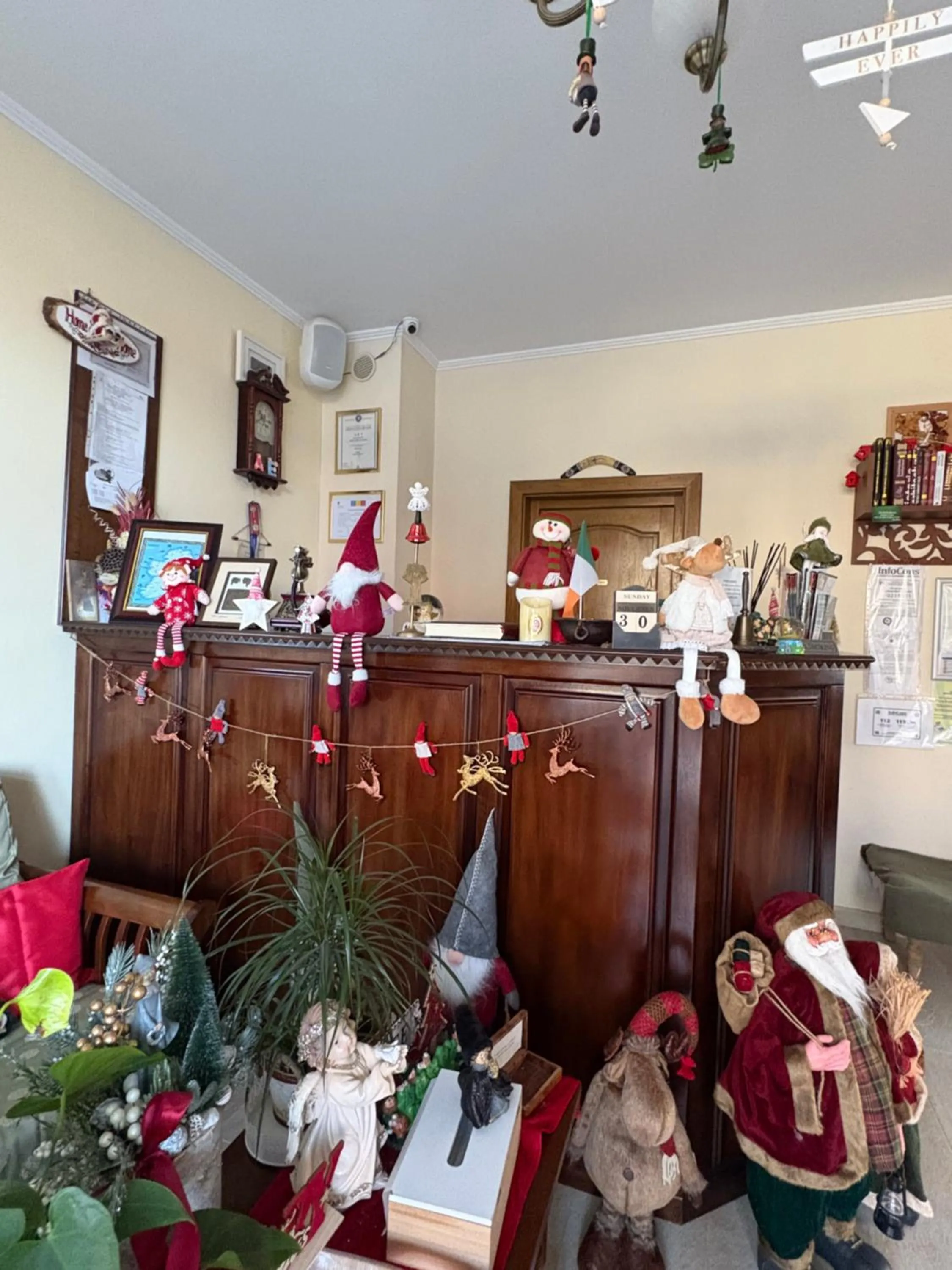 Casa Irlandeza - Irish House