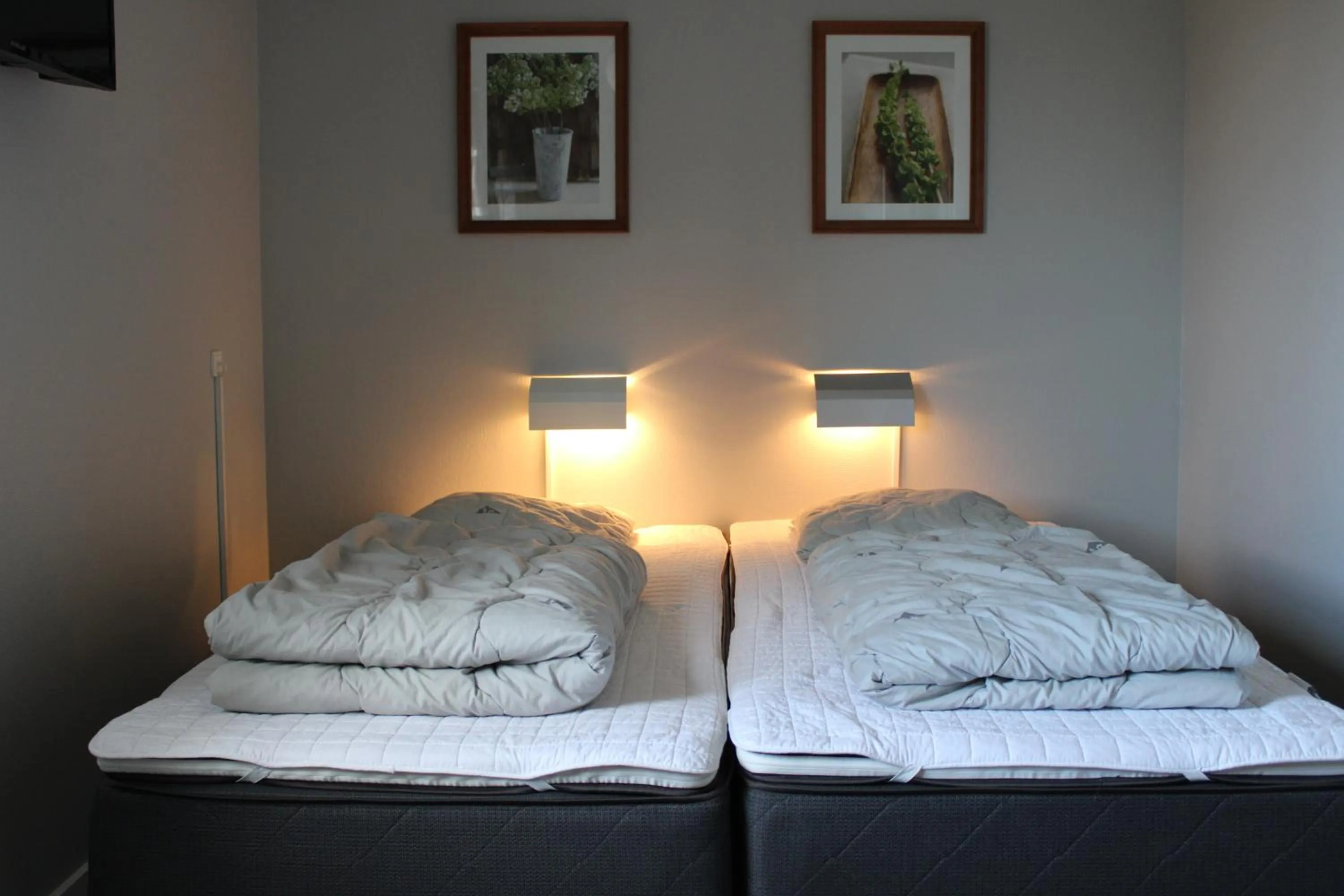 Photo of the whole room in Hostel Herning