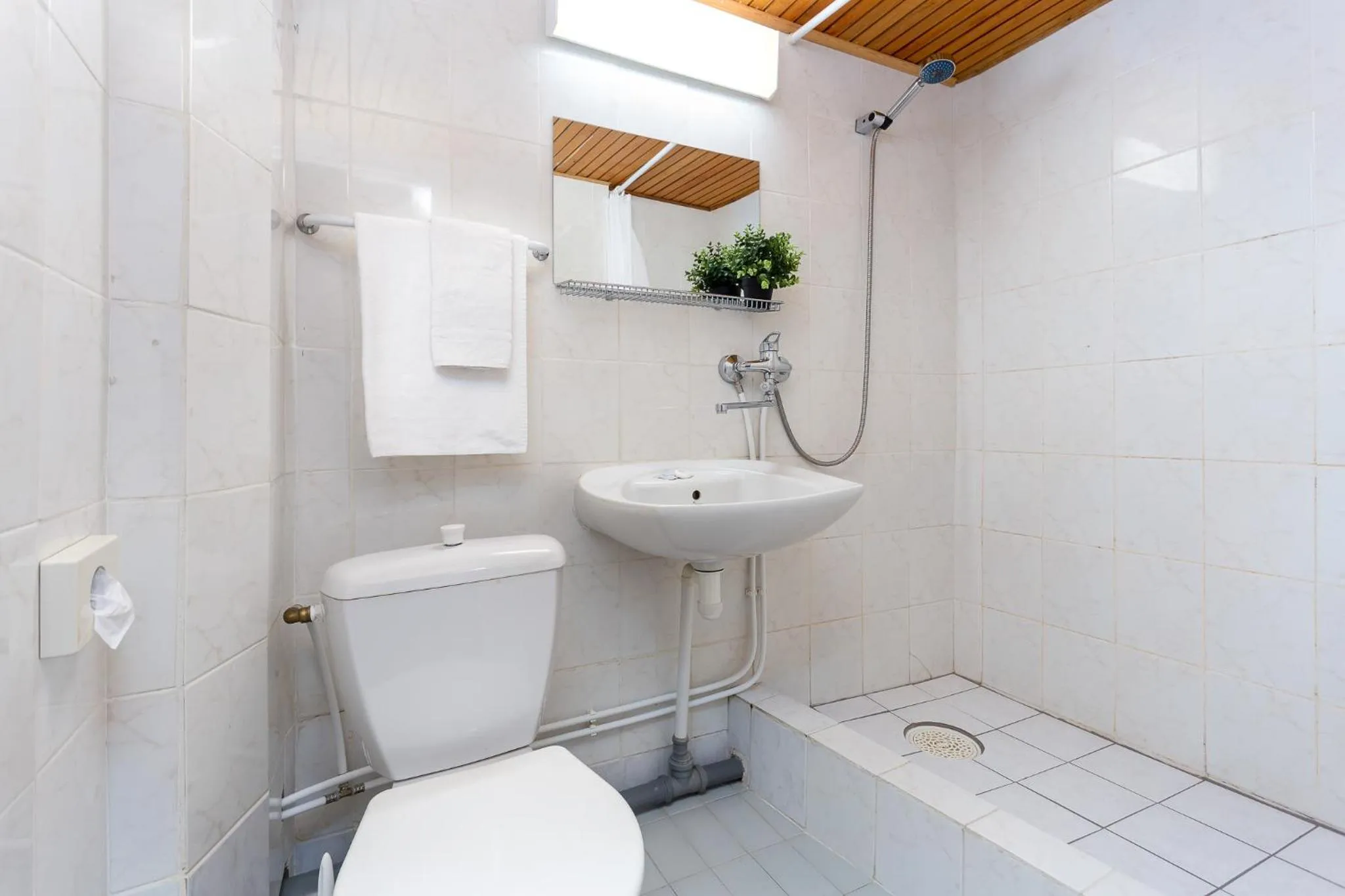 Shower in Hotel Dzingel