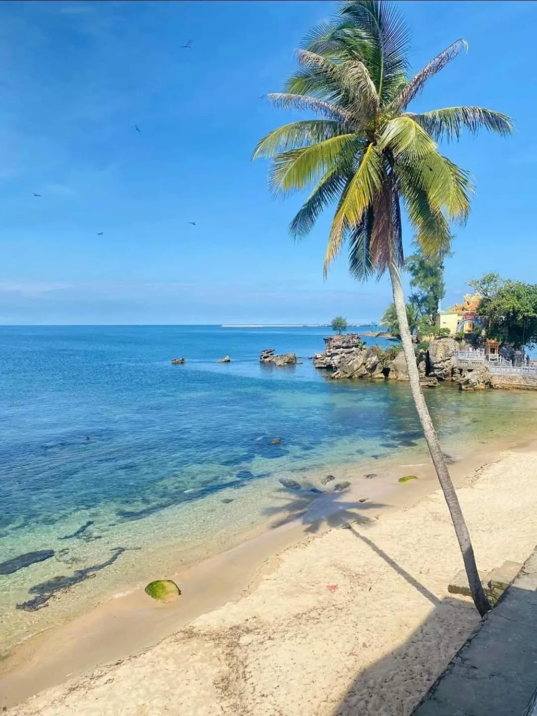 Nipola Hotel - Chợ Đêm Dương Đông Phú Quốc