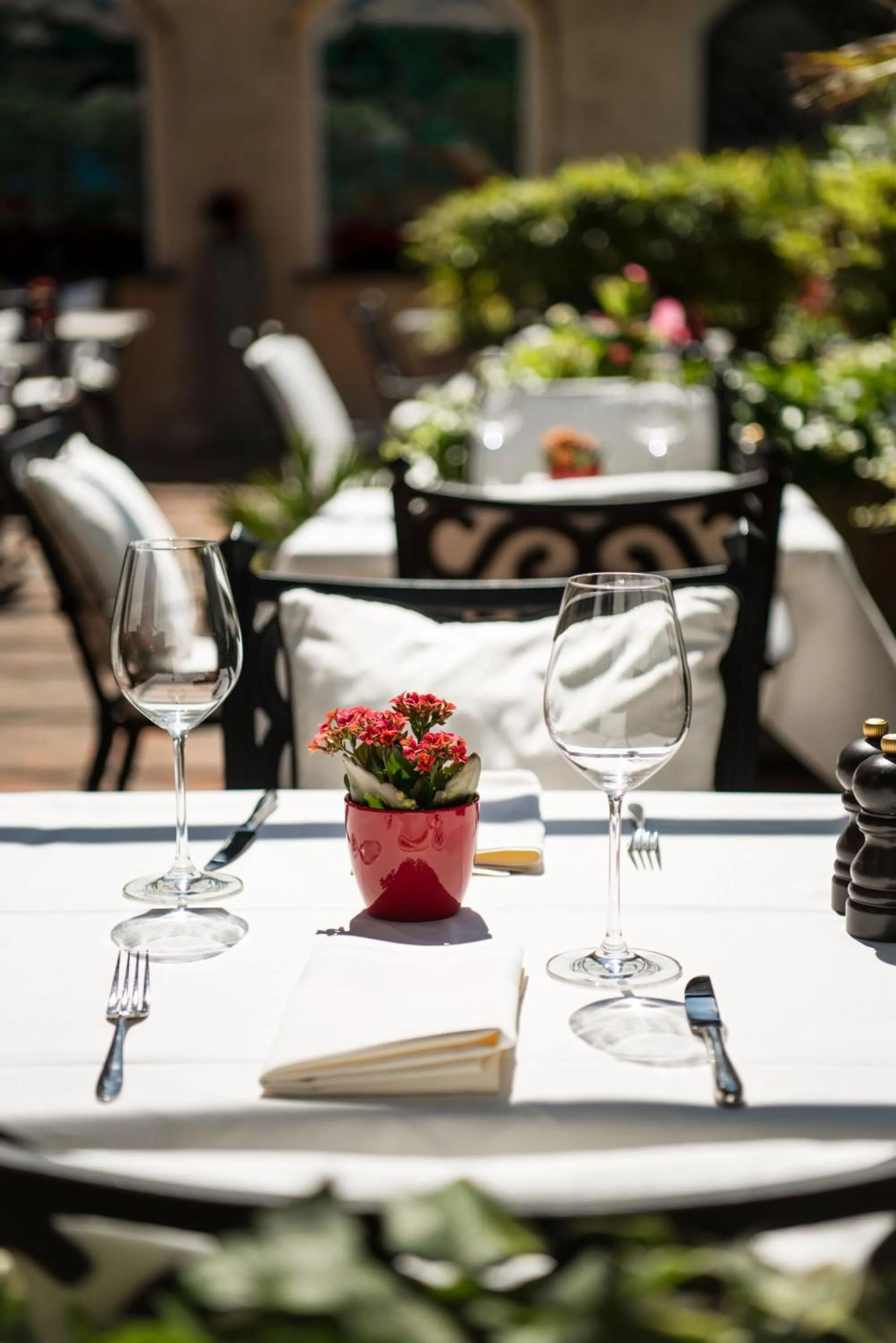 Restaurant/places to eat in Hotel Polo