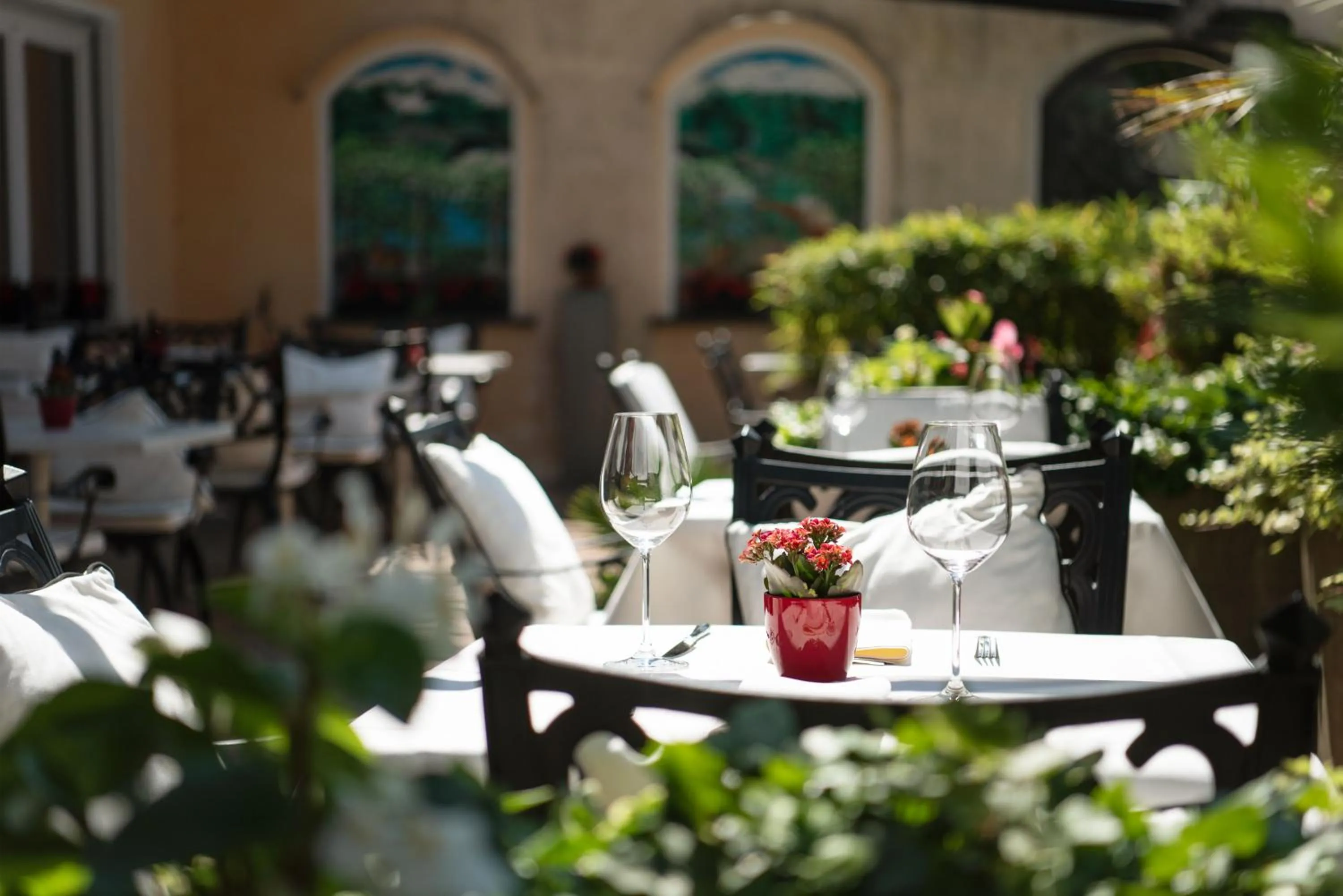 Patio in Hotel Polo