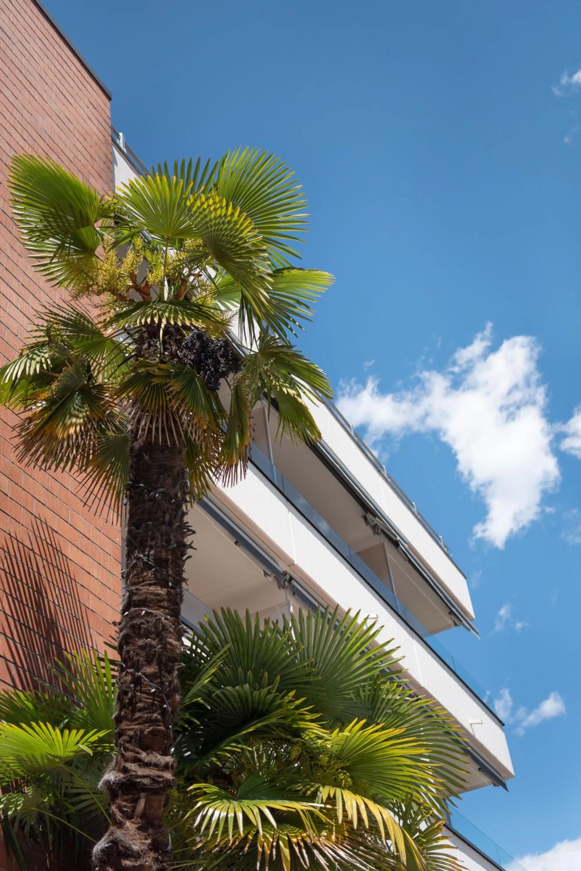 Property building in Hotel Polo