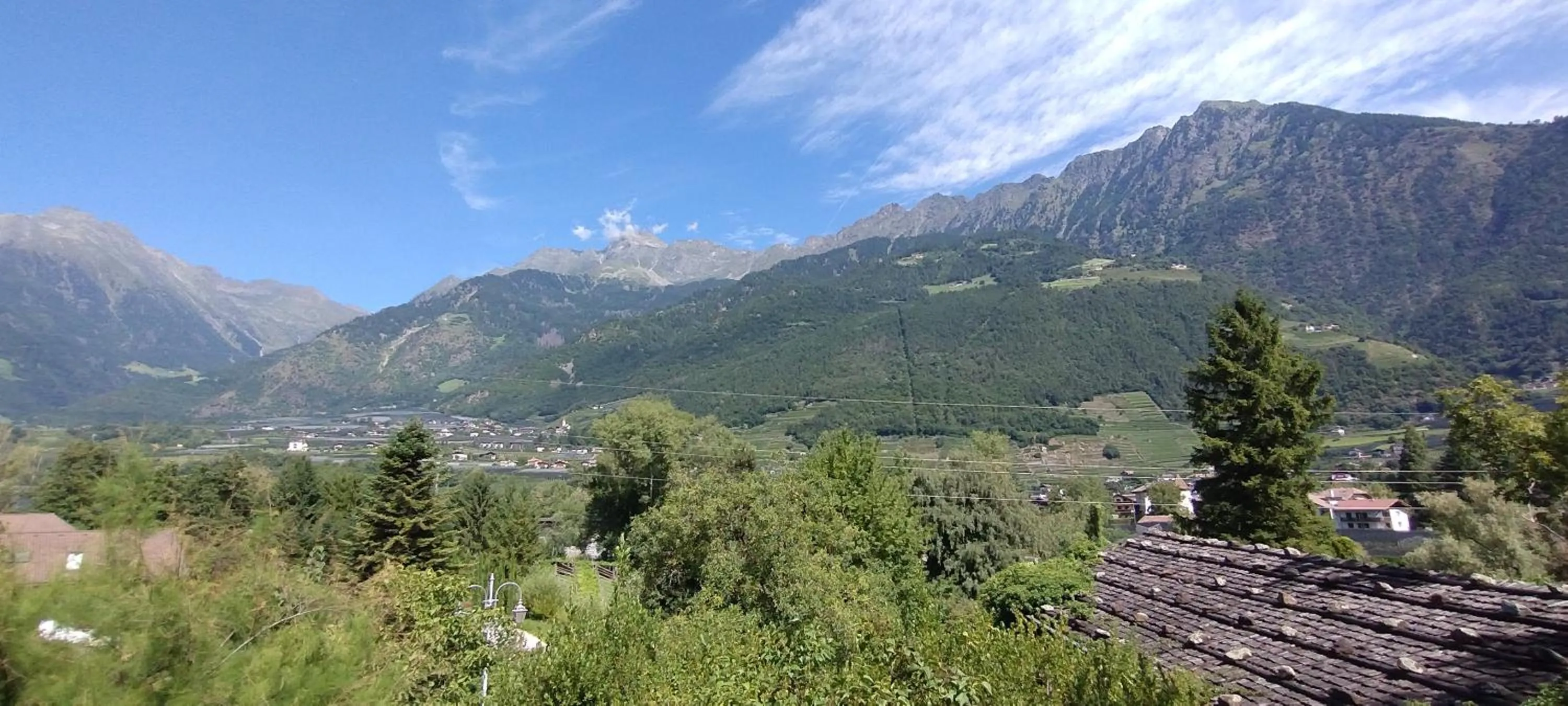 Natural landscape in Schlosswirt Forst