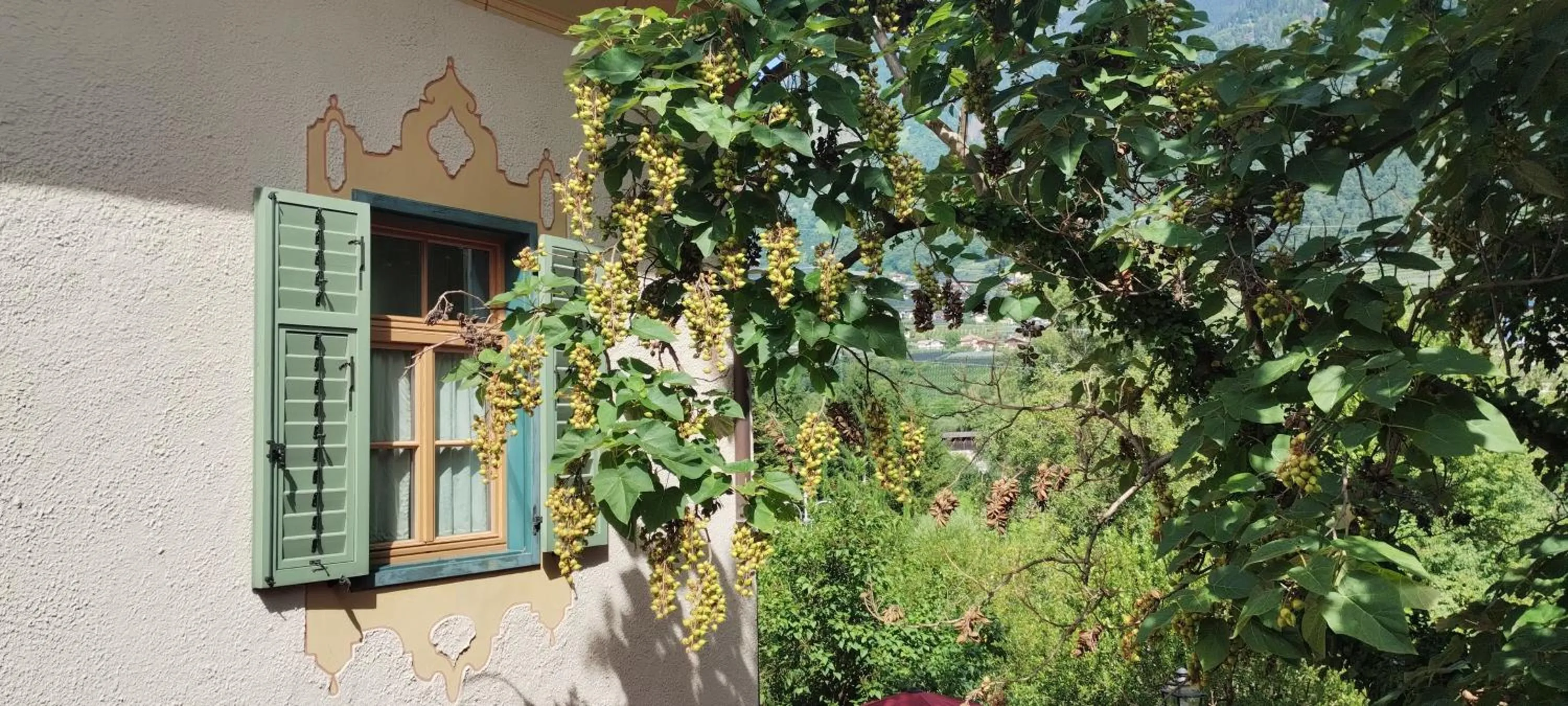Garden view in Schlosswirt Forst