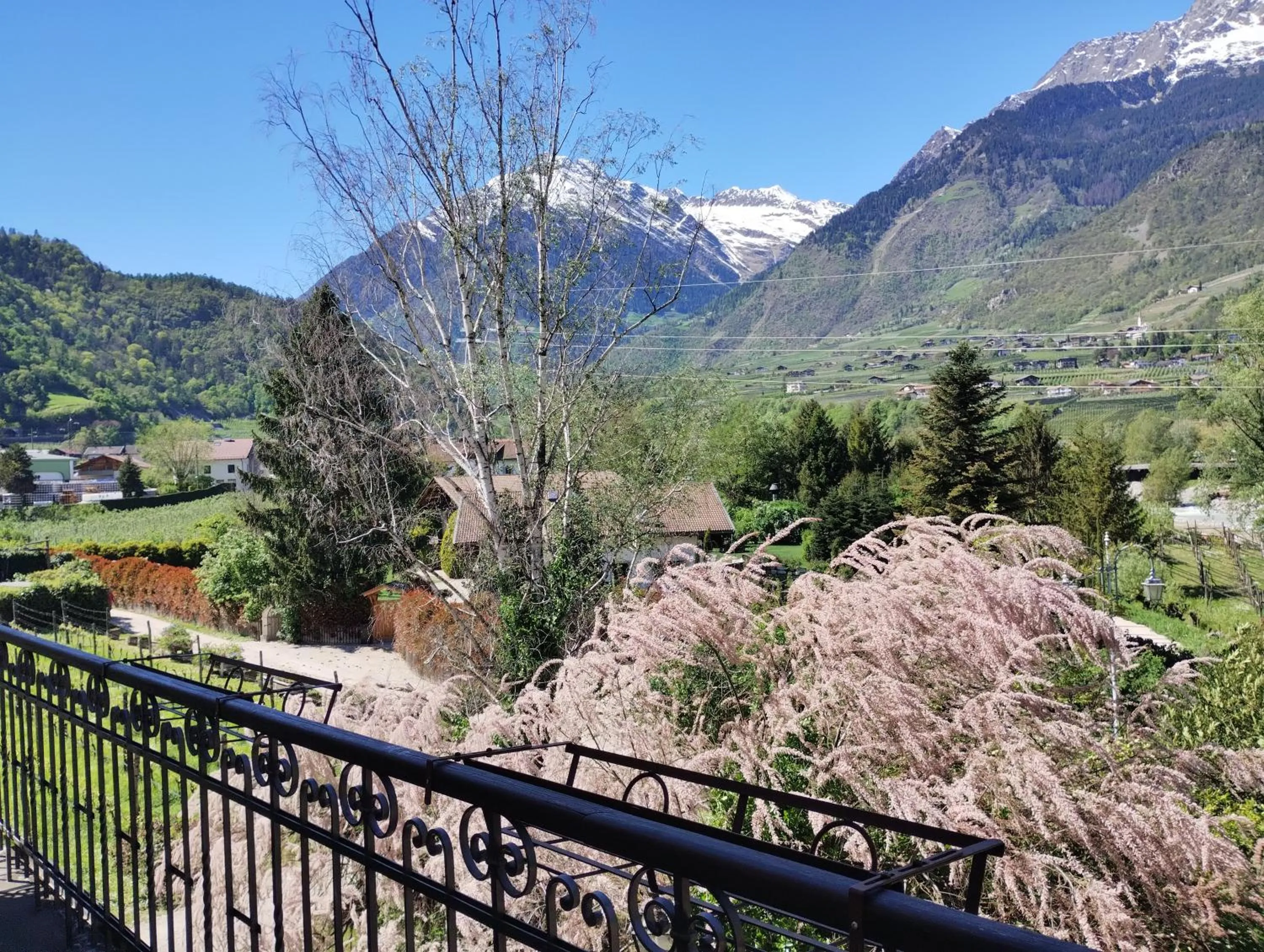 Balcony/Terrace in Schlosswirt Forst