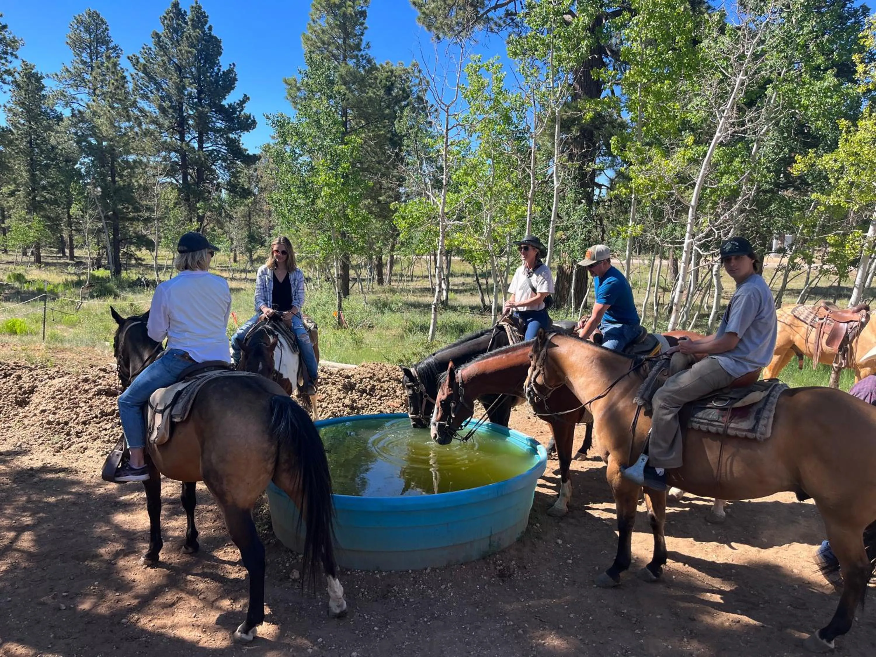 Horse-riding in The Riverside Ranch Motel and RV Park Southern Utah