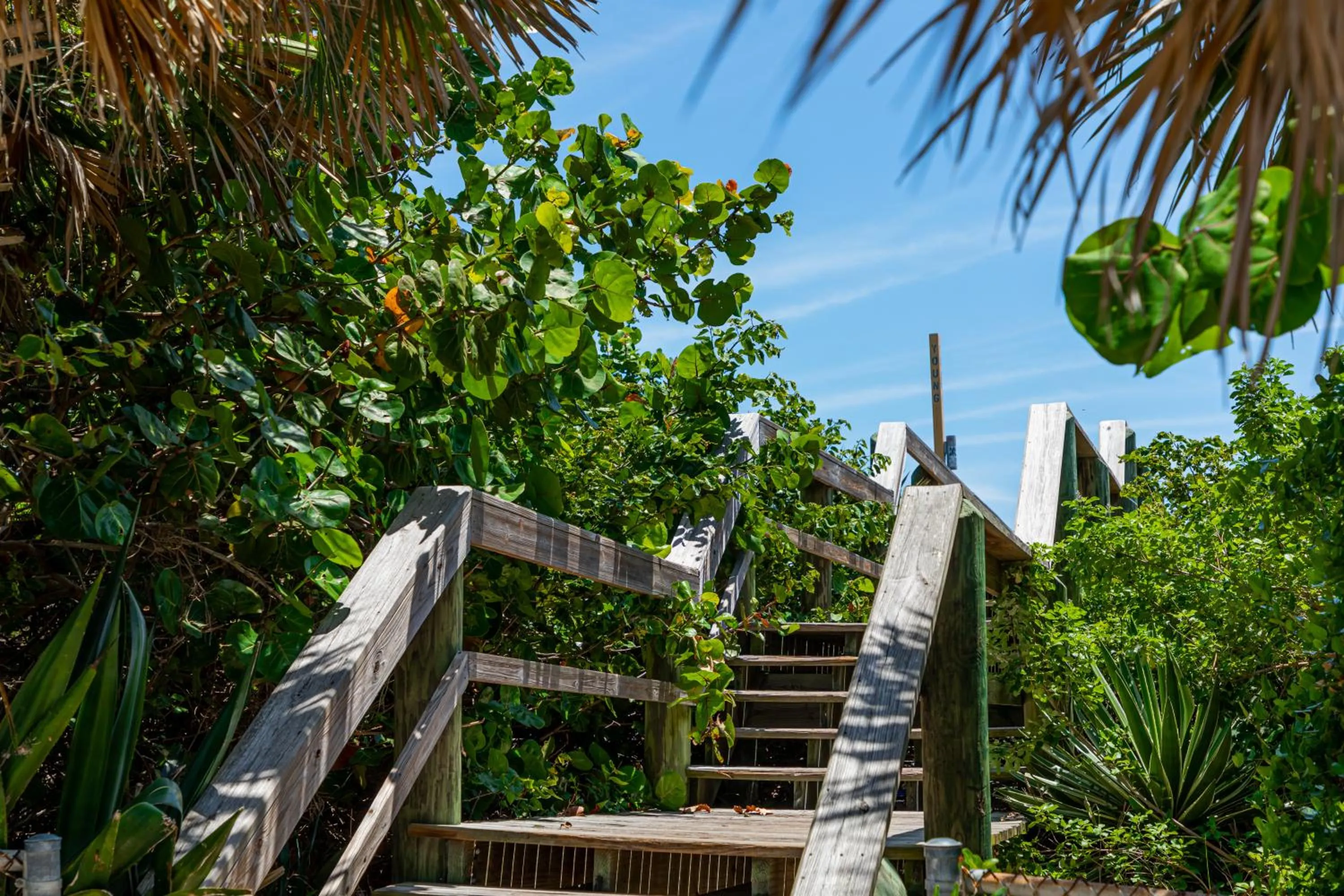 Natural landscape in Beachside Hotel & Suites Cocoa Beach - Port Canaveral