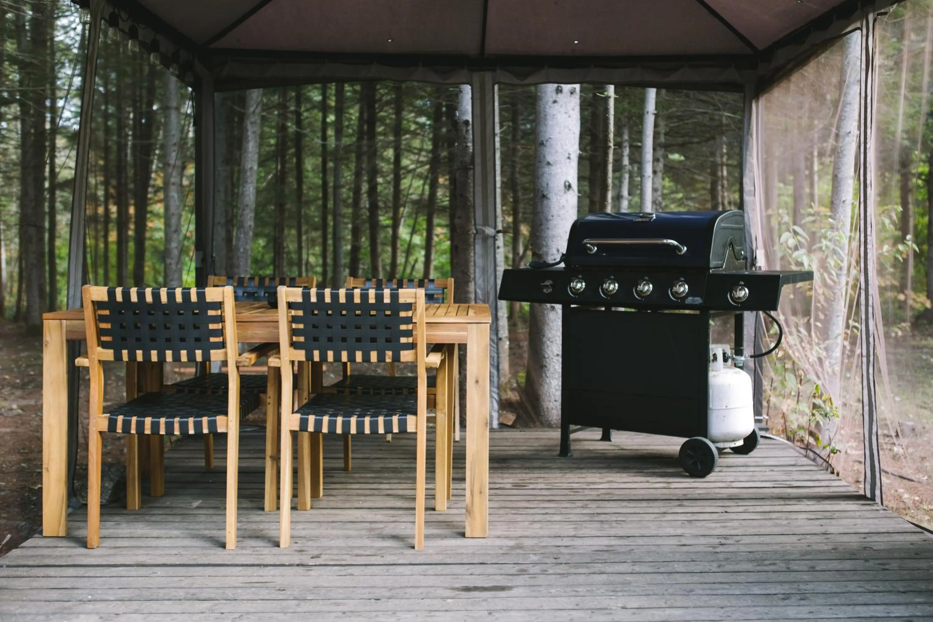 BBQ facilities in Au Sommet du Fjord