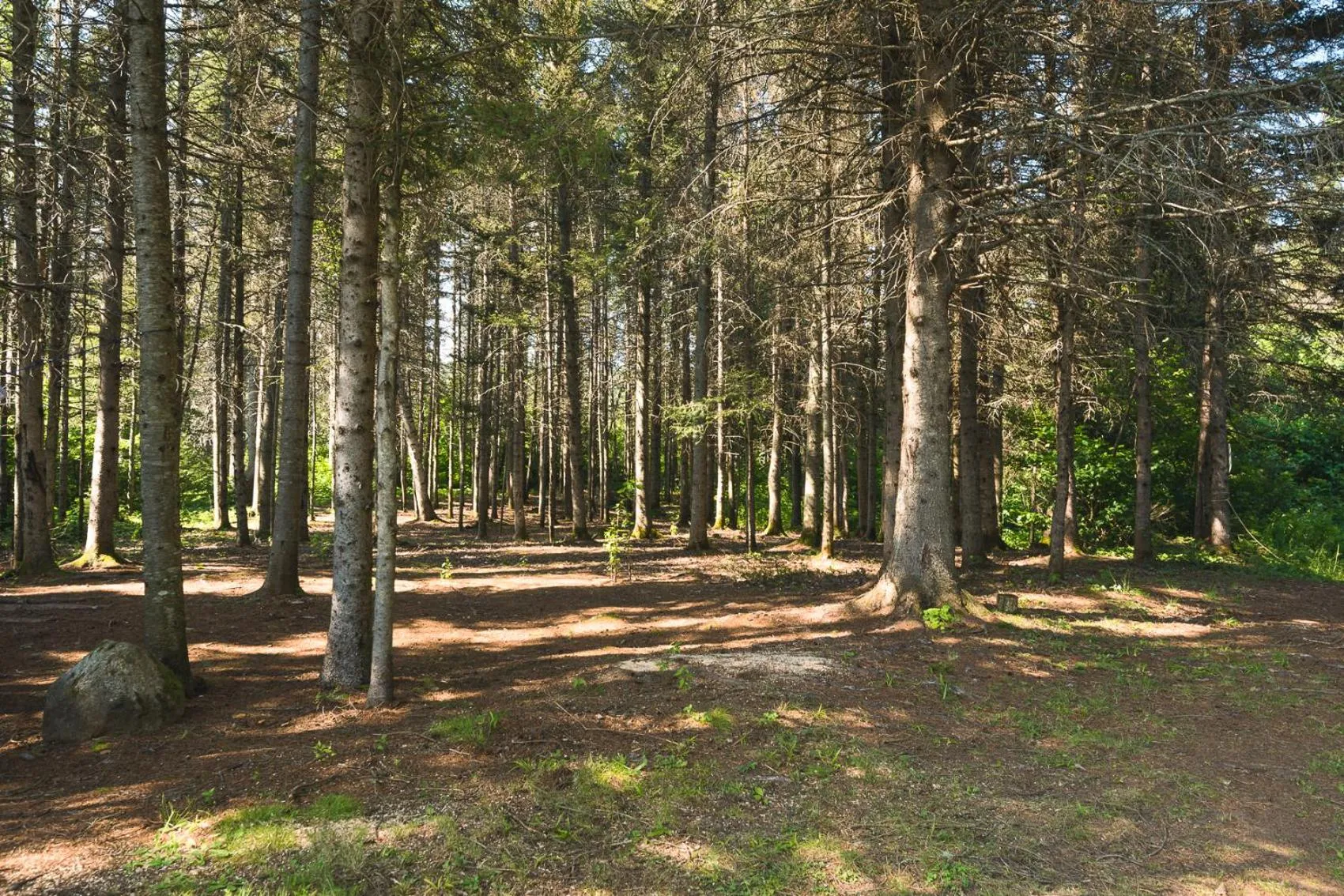 Natural landscape in Au Sommet du Fjord