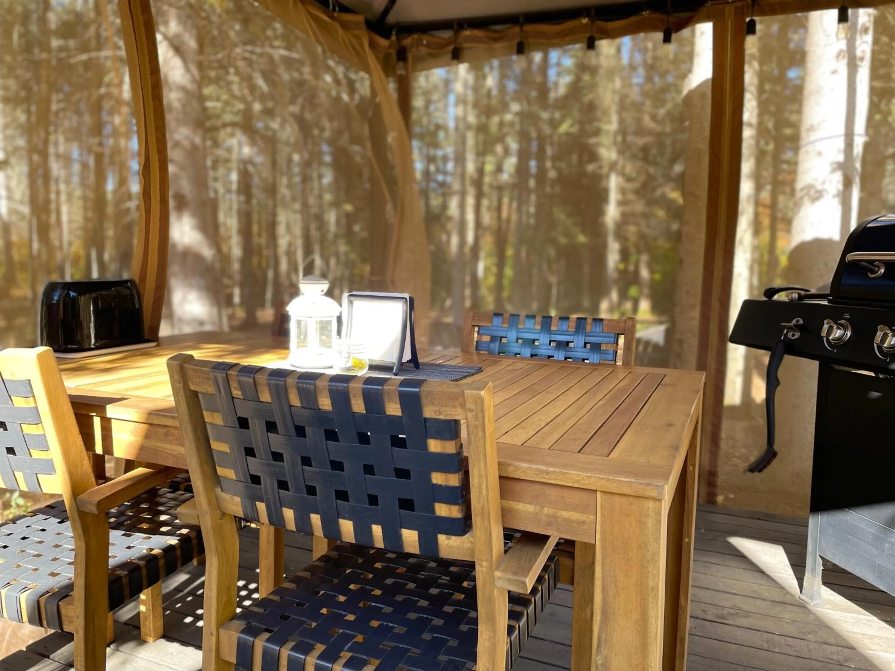 BBQ facilities in Au Sommet du Fjord