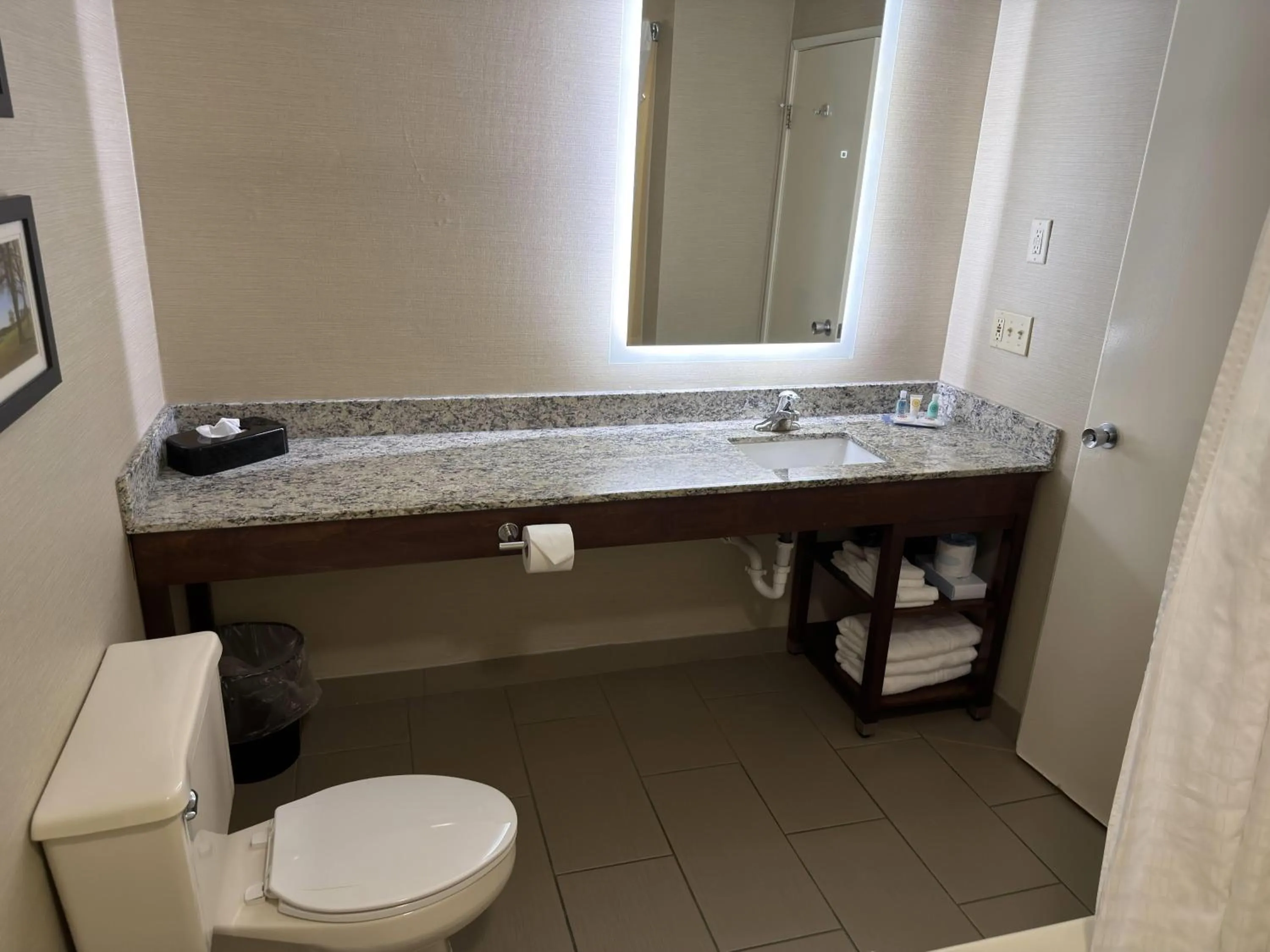 Bathroom in Wingate by Wyndham Utica