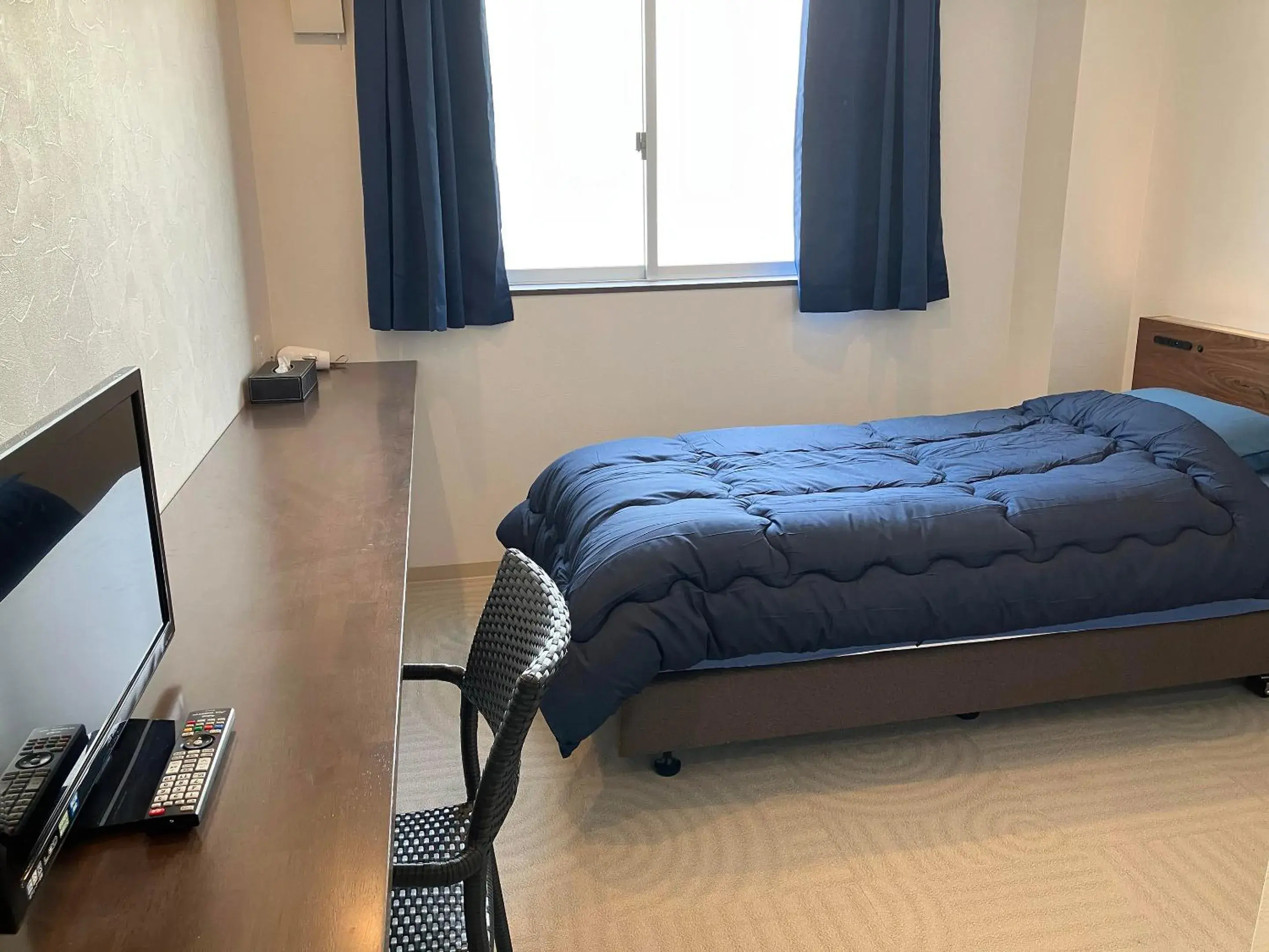 Single Room in HOTEL PAiKAJi Single Room in HOTEL PAiKAJi