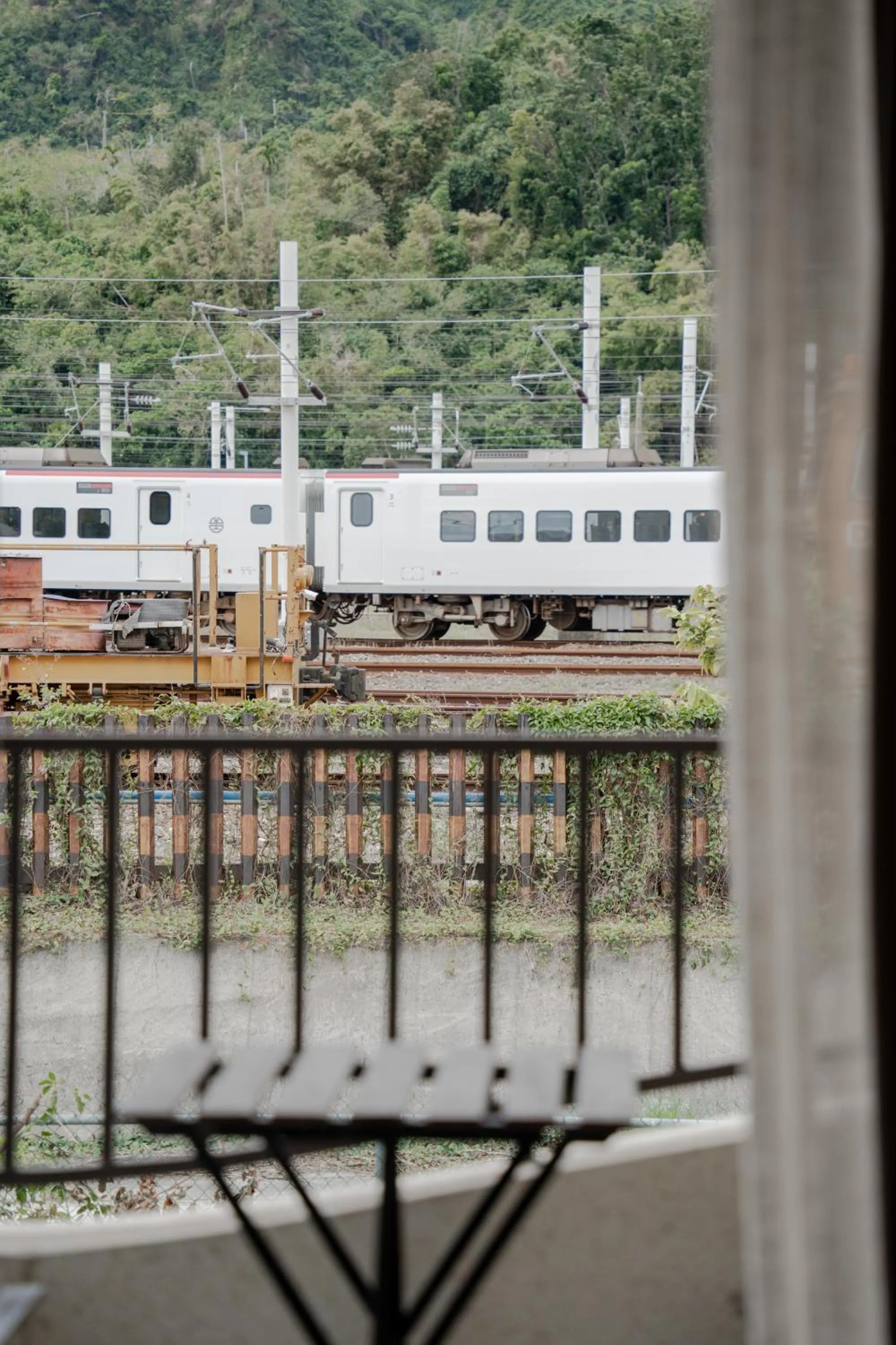 View (from property/room) in Cozy Green Guesthouse